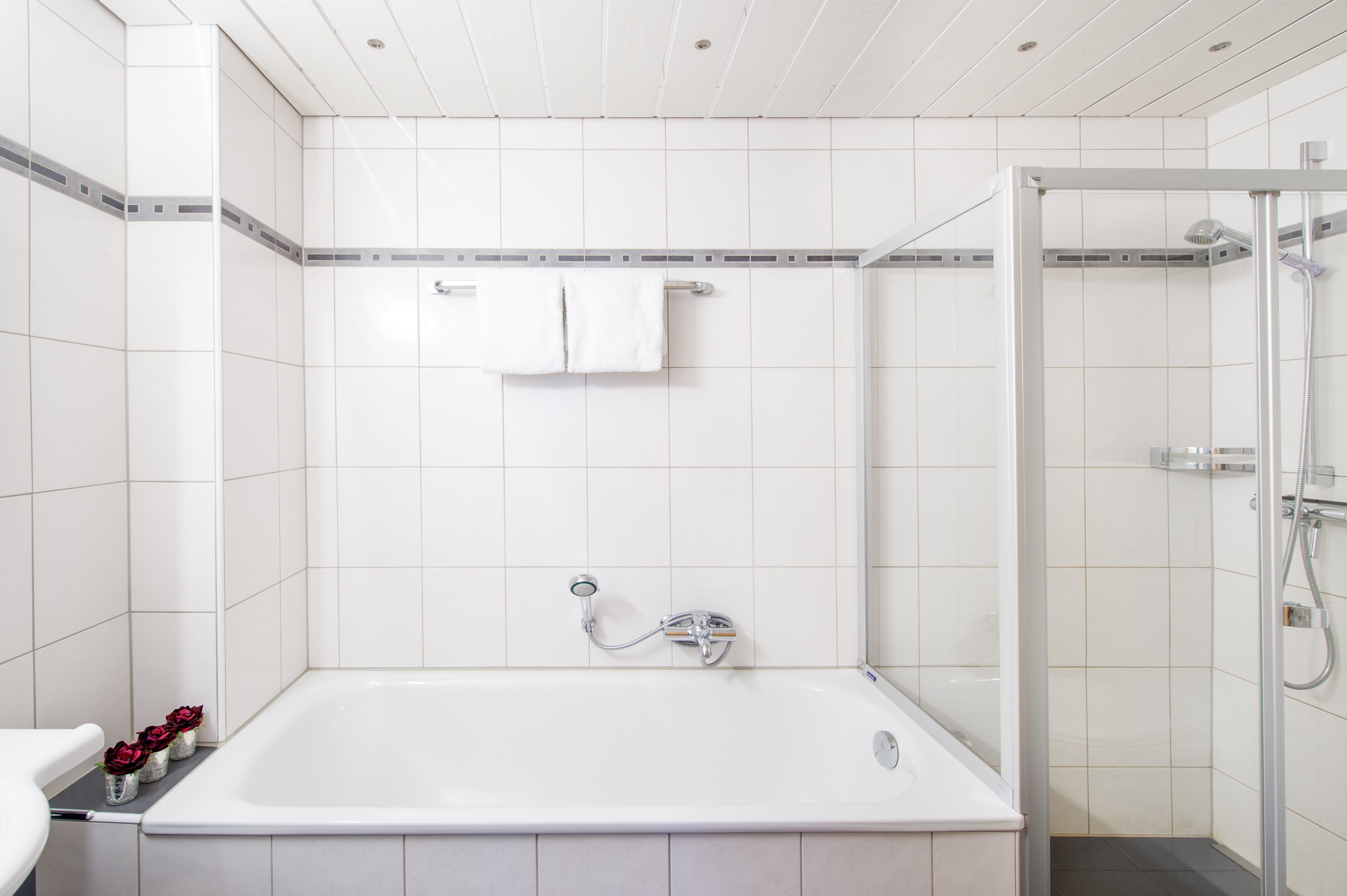 Mountain Exposure Zermatt