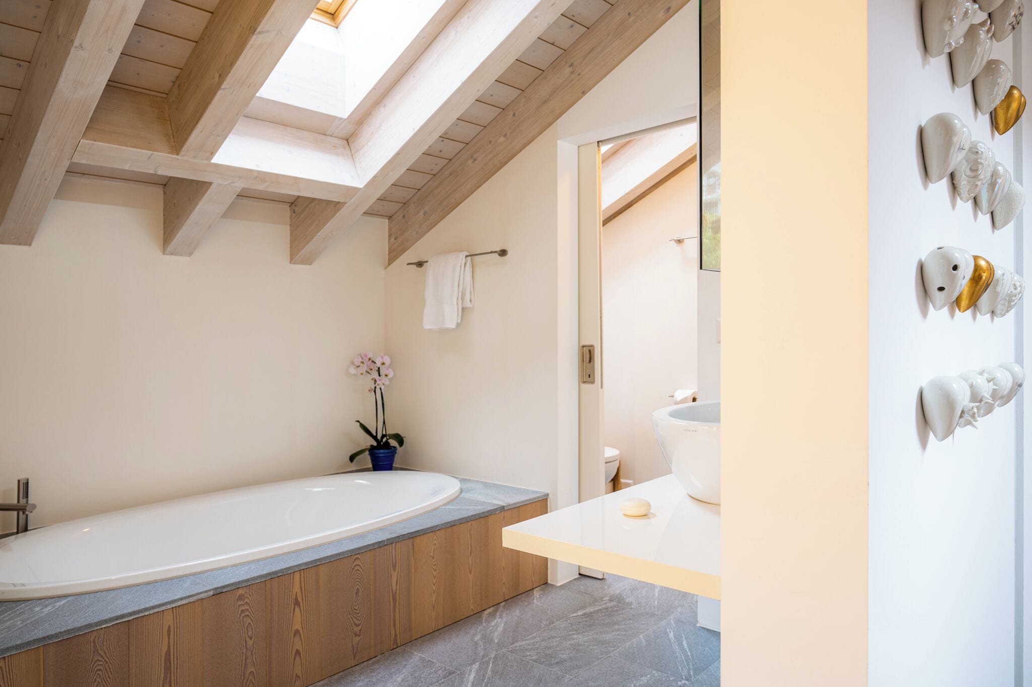 Mountain Exposure Zermatt