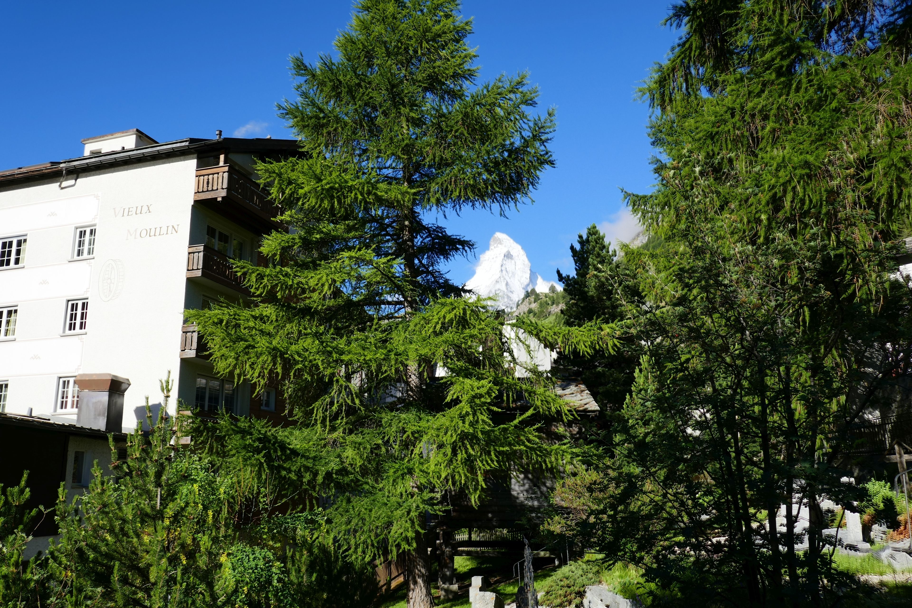 Mountain Exposure Zermatt