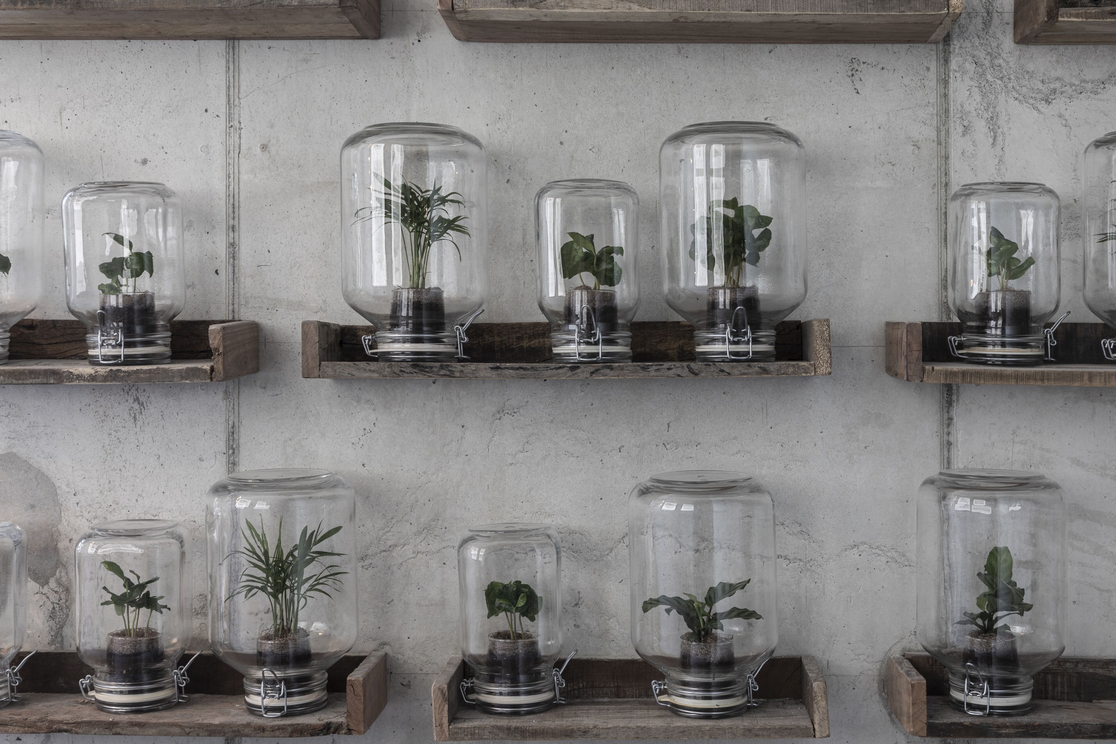 Nomad Lodge & Spa by CERVO