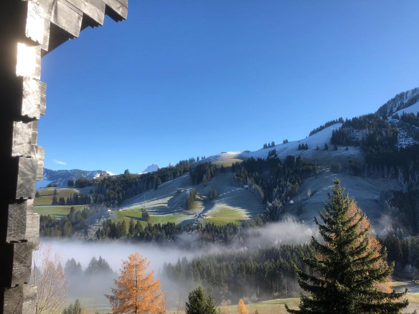 Chalet Edelweiss