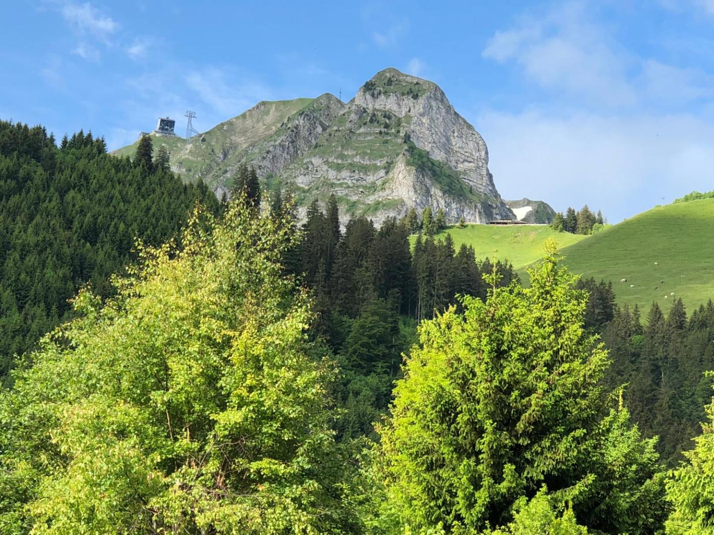 Chalet Edelweiss