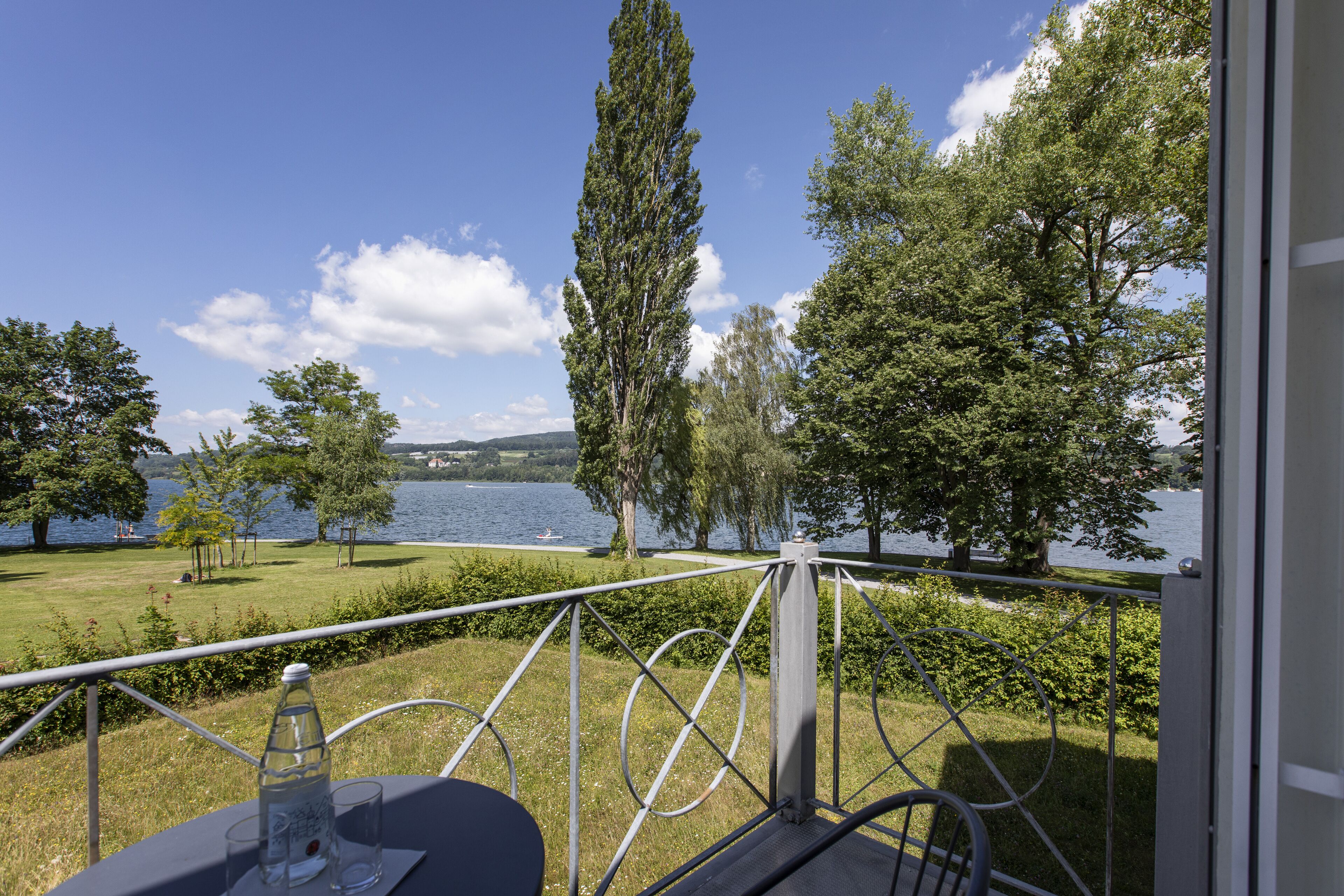 Feldbach See & Park Hotel