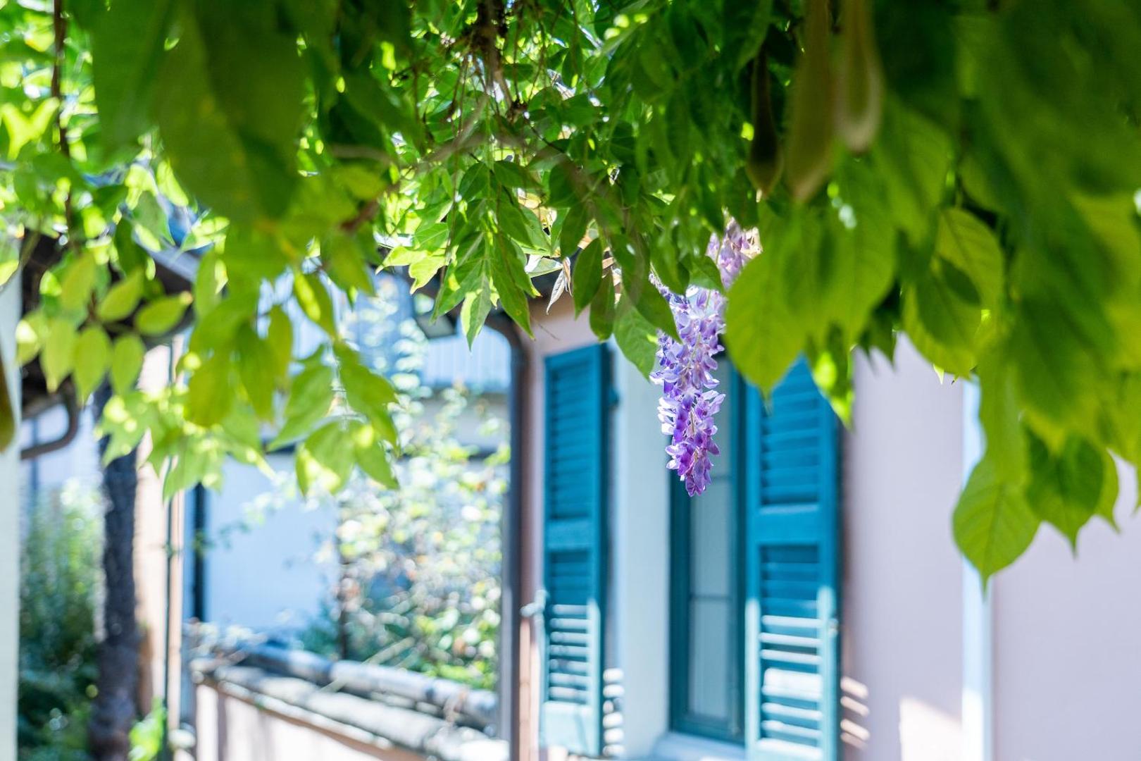 Seven Boutique Hotel