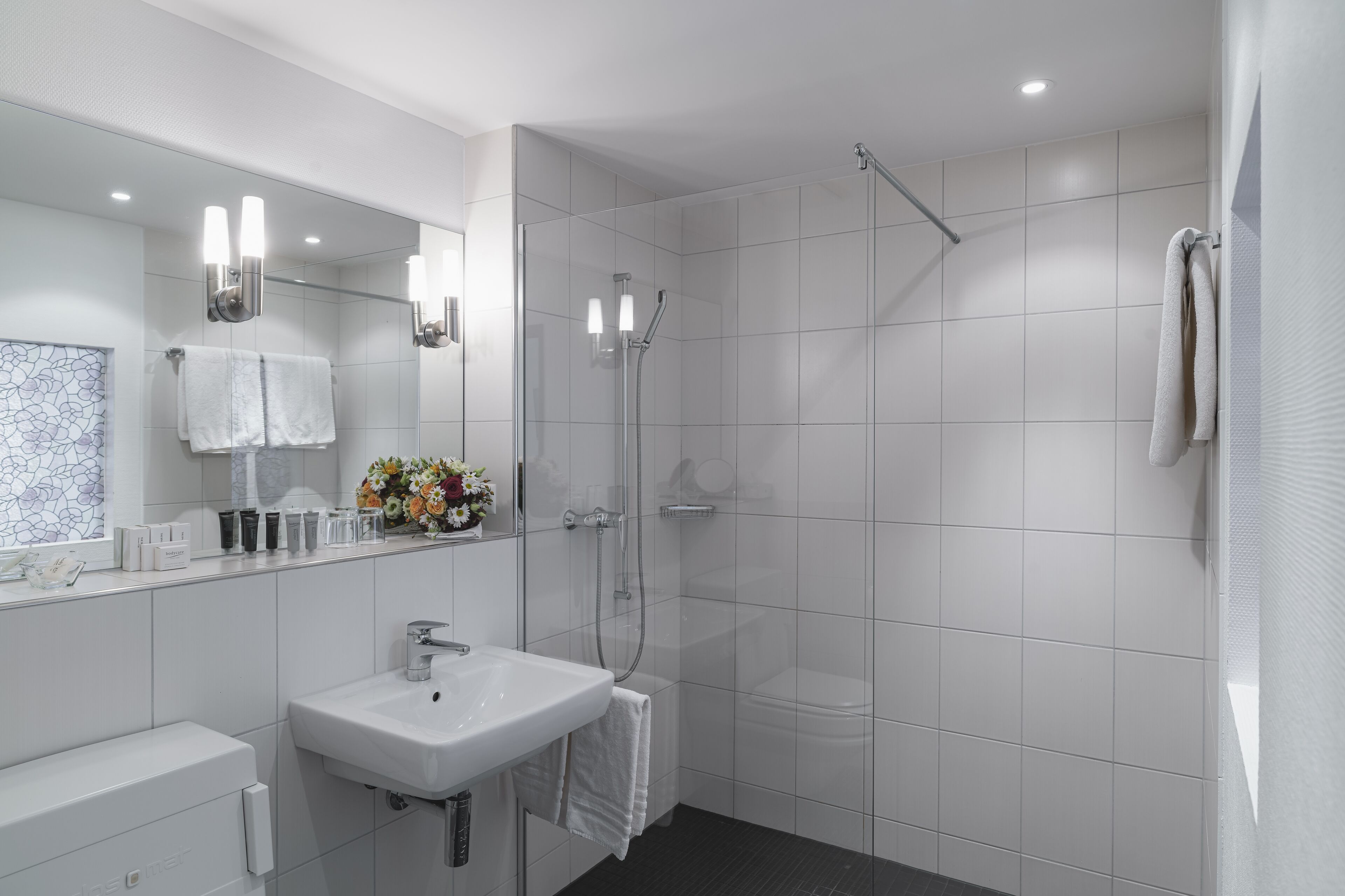 Hotel Weisses Rössli Brunnen