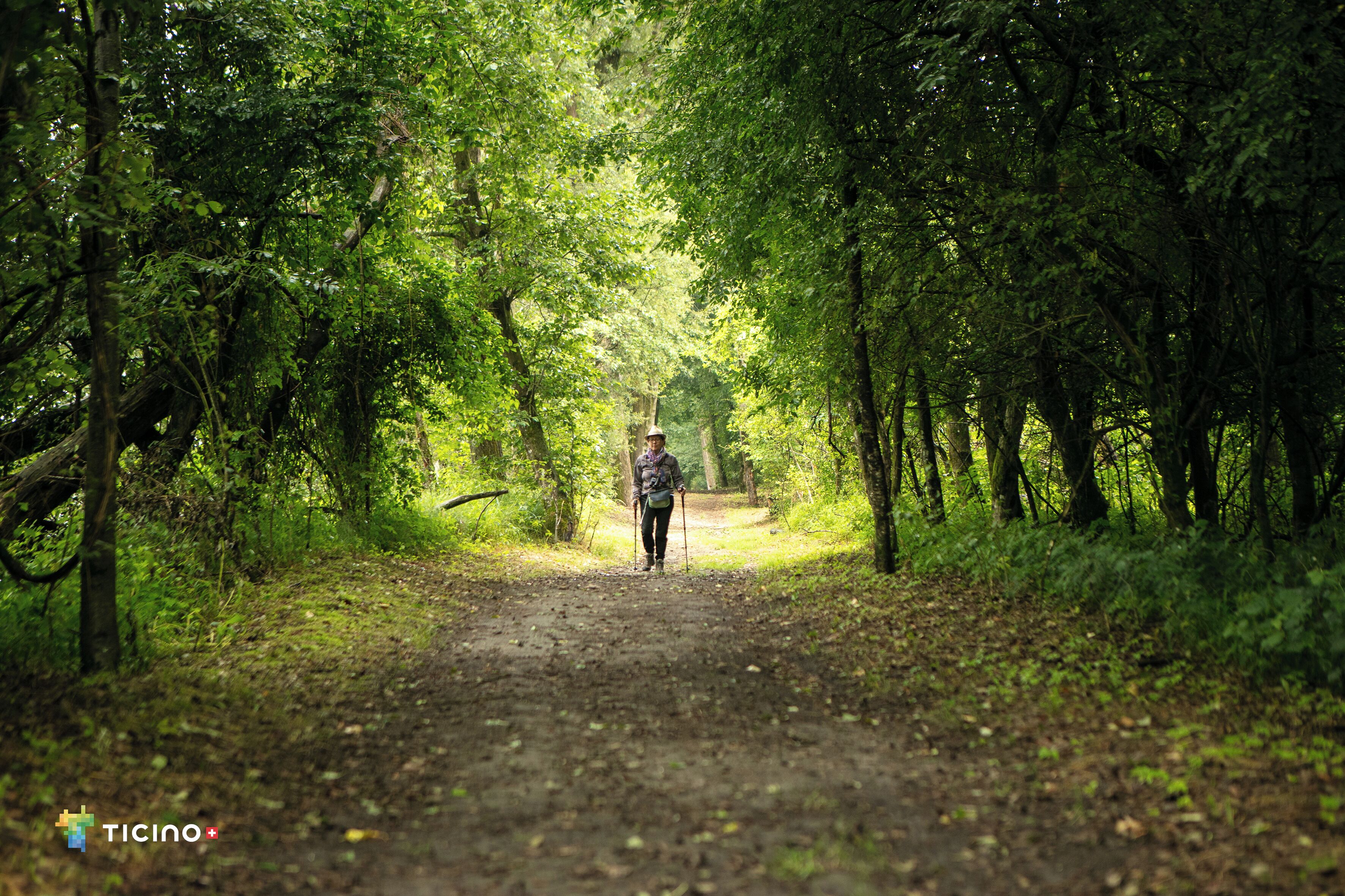 Hotel & Lounge Lago Maggiore