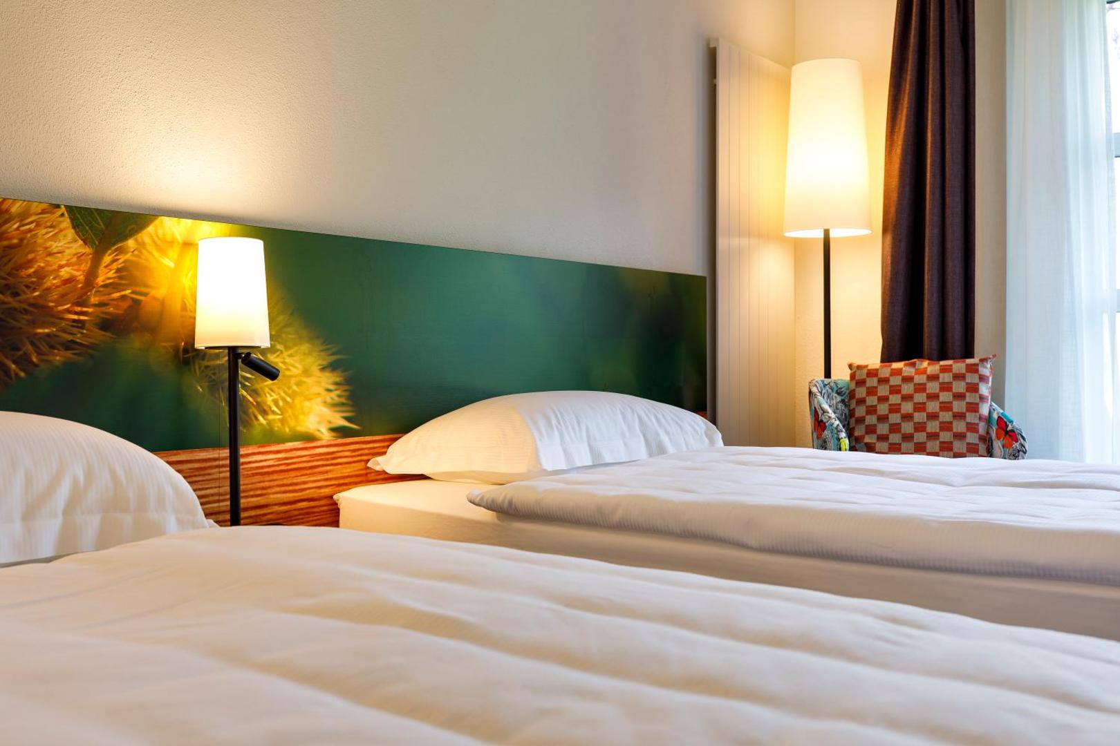 Hotel Bellinzona Sud