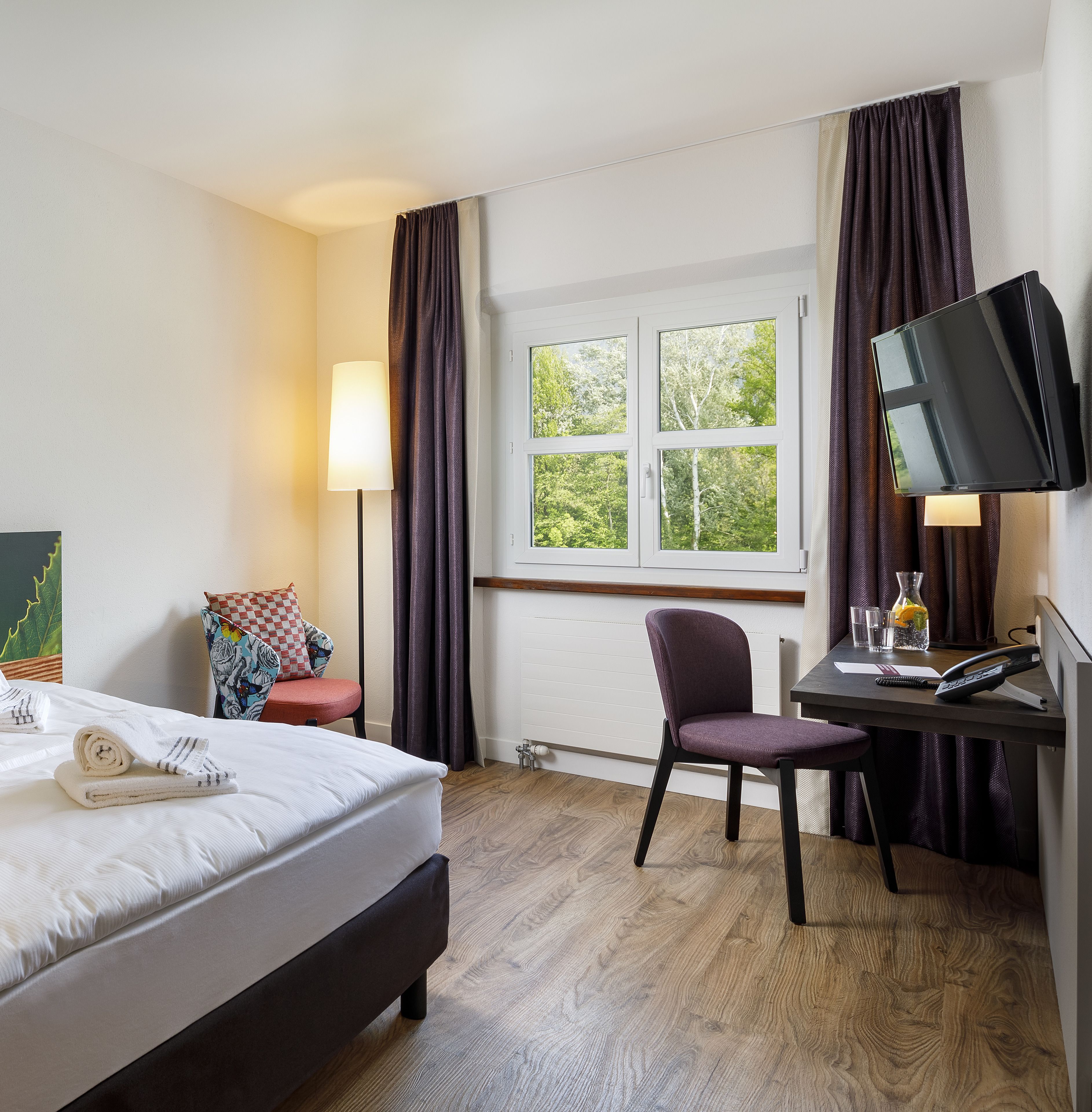 Hotel Bellinzona Sud