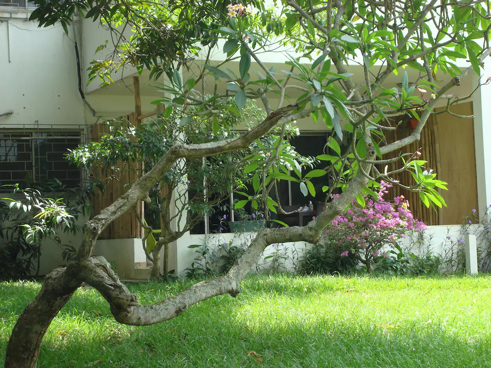 Villa Mango