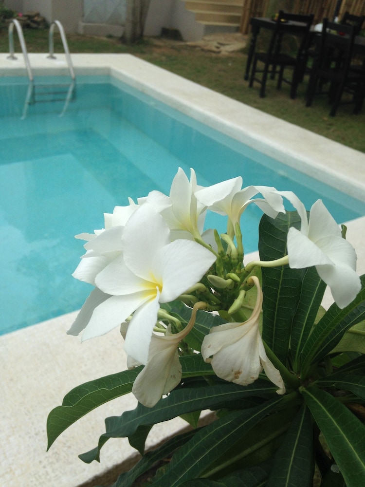 Villa Mango
