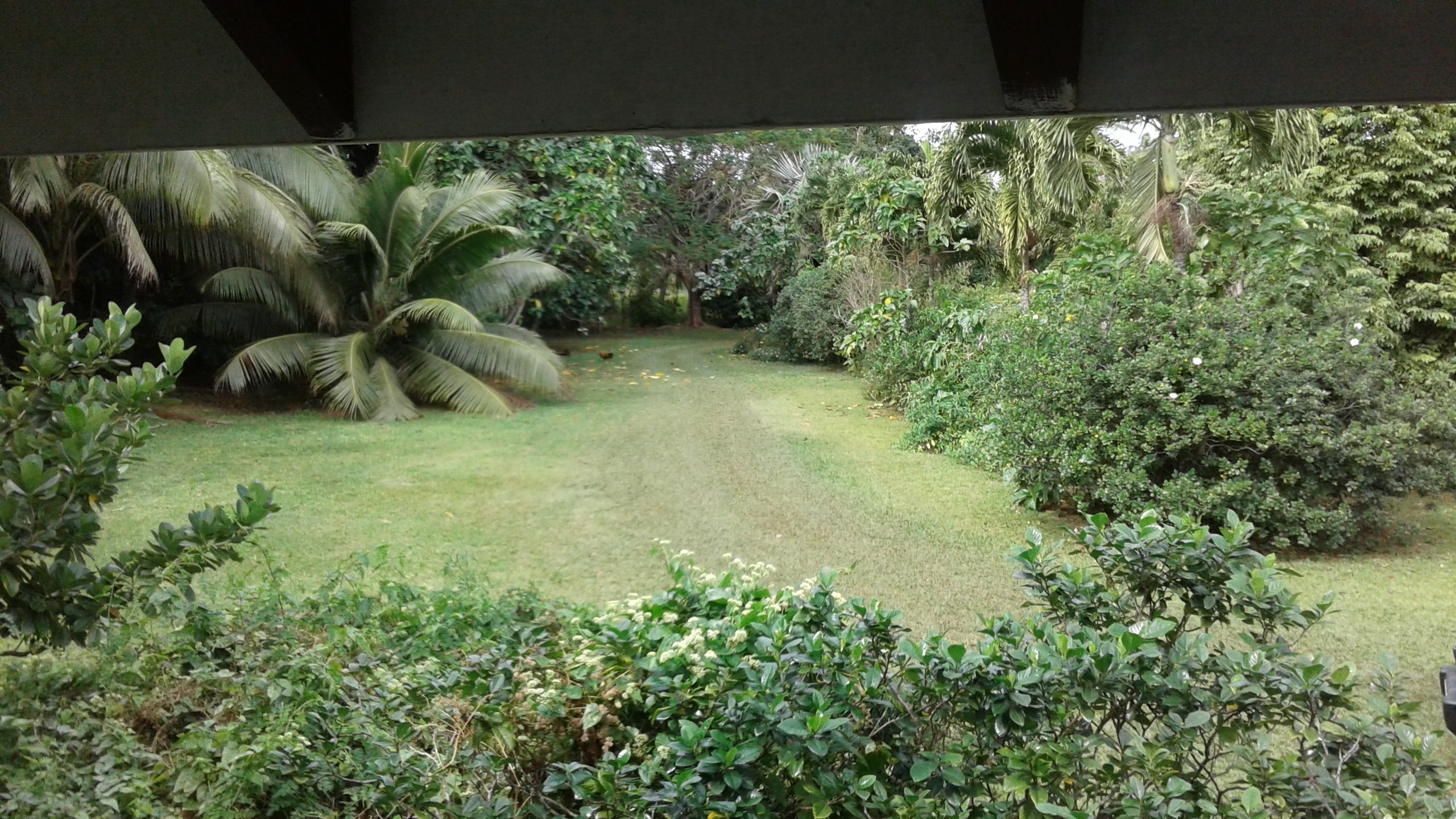 Gina's Garden Lodges