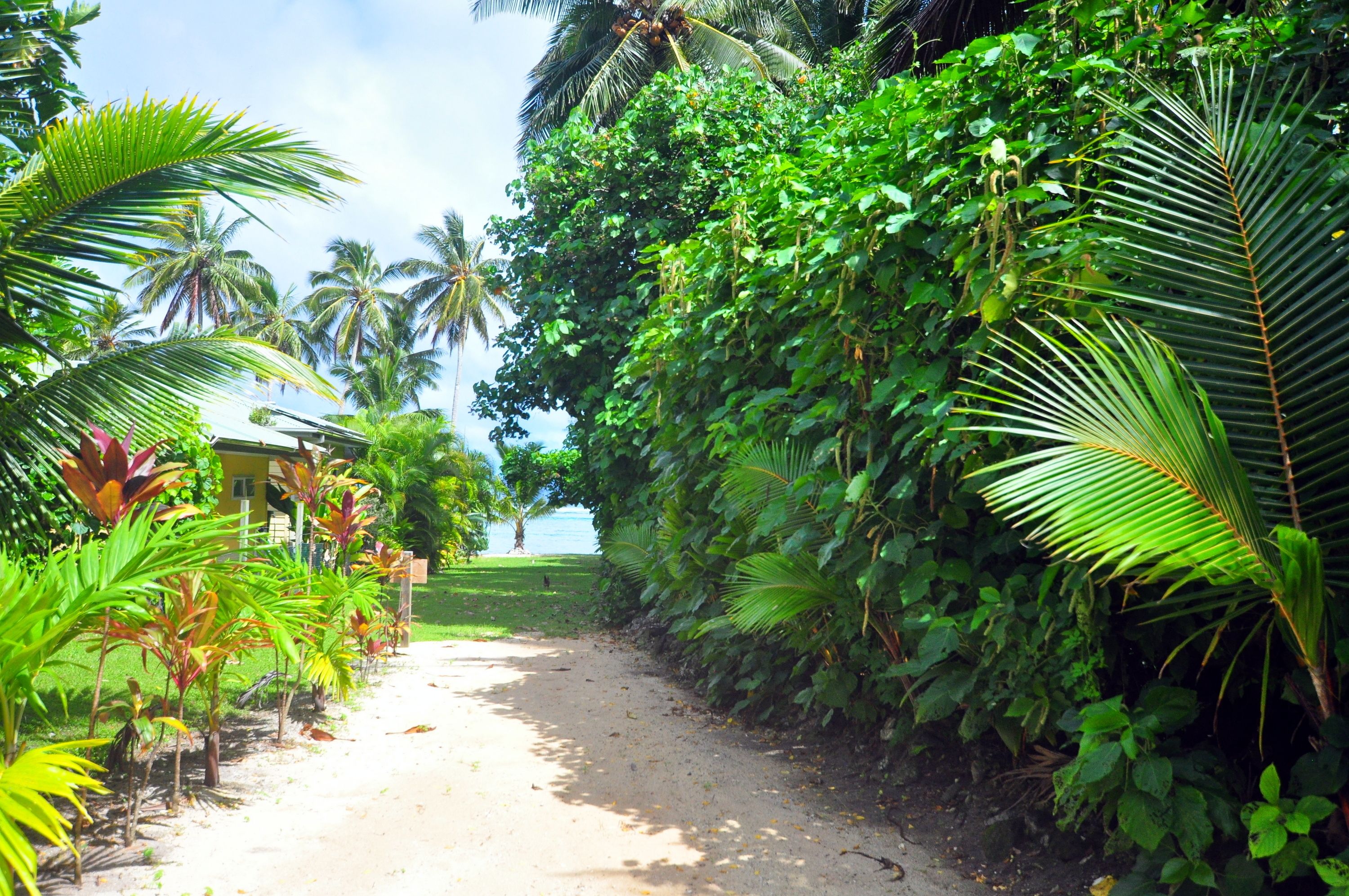 Coral Sands Apartments