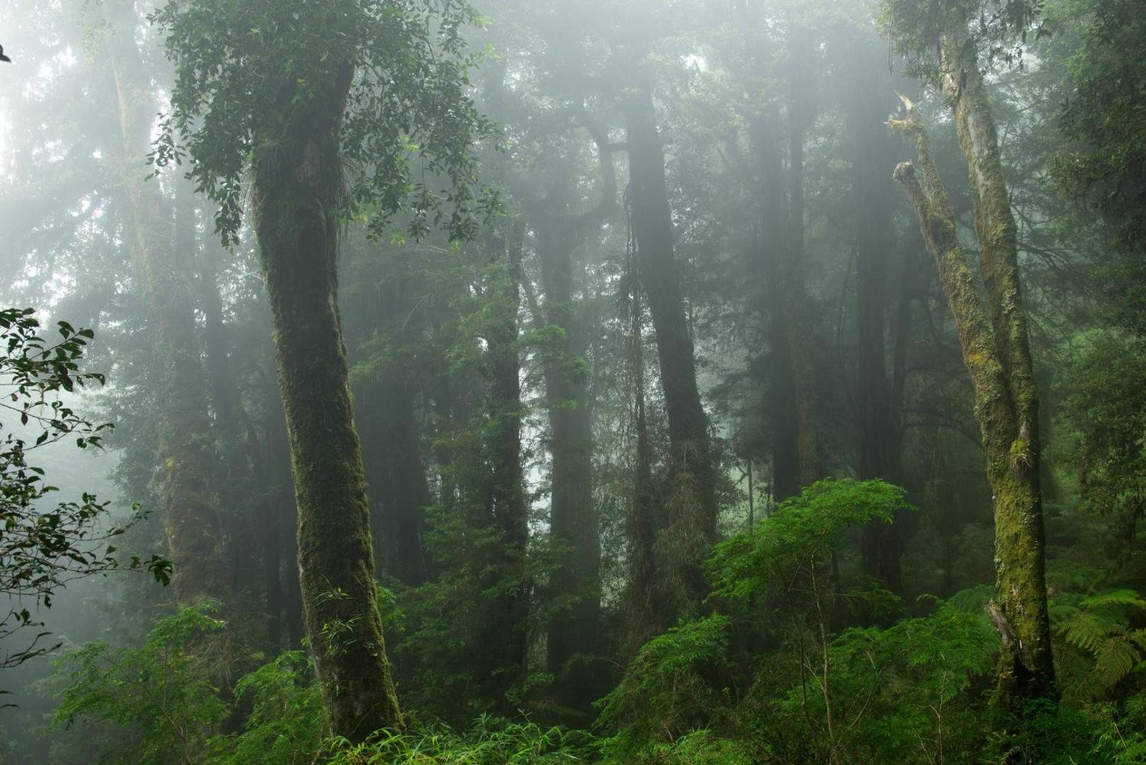 Futangue Hotel & Spa