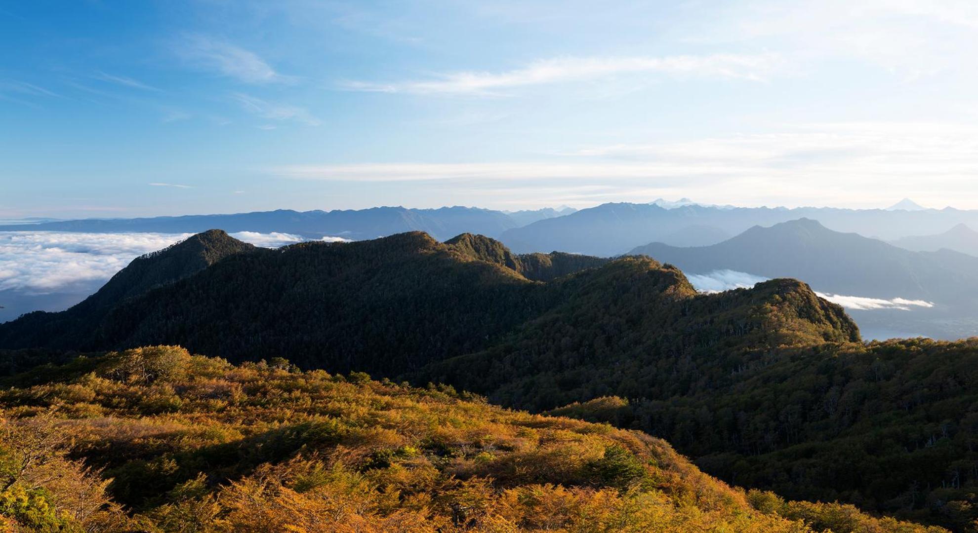 Futangue Hotel & Spa