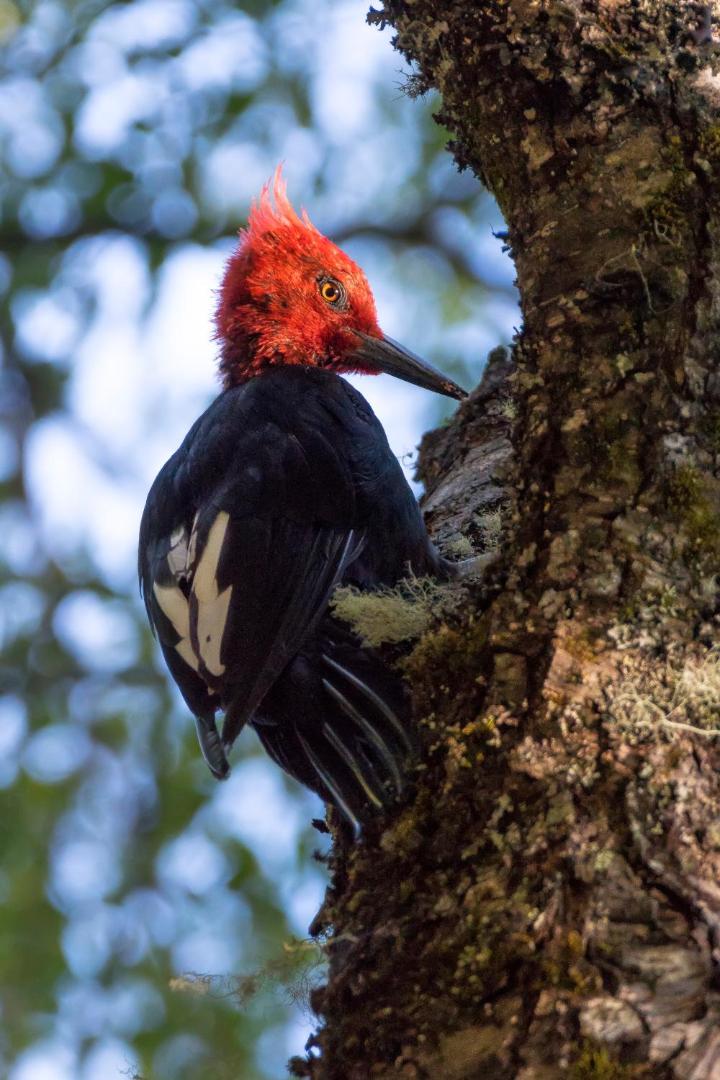 Futangue Hotel & Spa