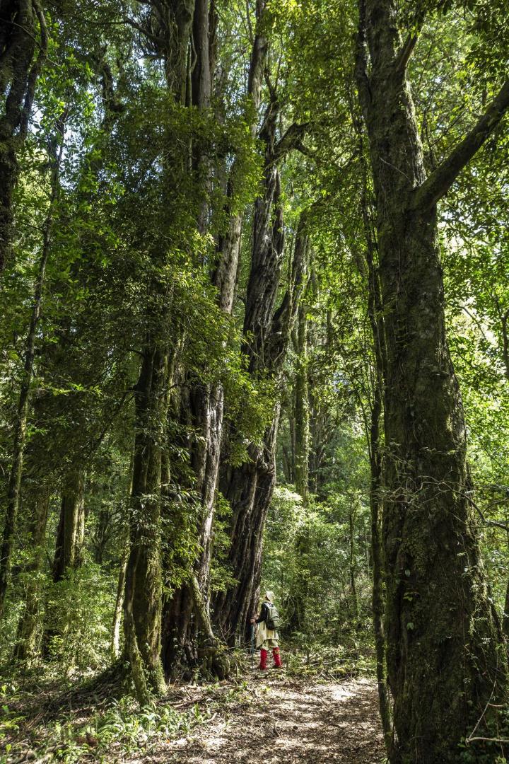 Futangue Hotel & Spa