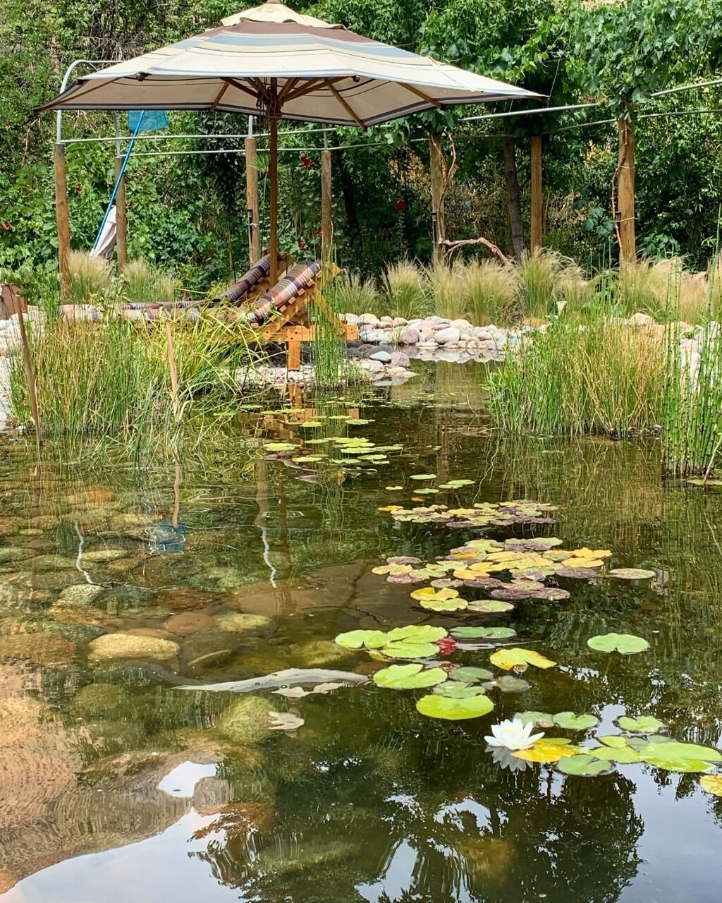 El Paraiso Lodge Alcohuaz