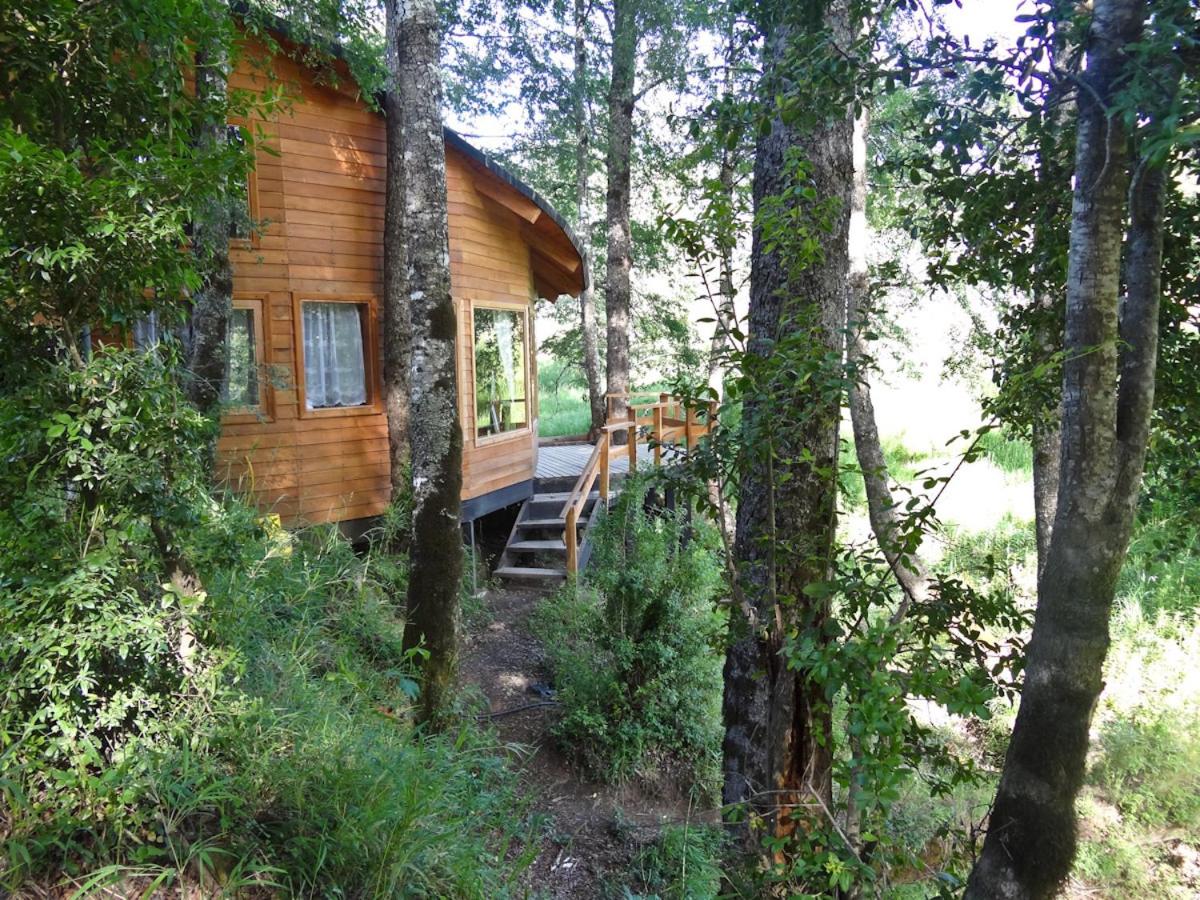 Cabañas Patagonia Mawida