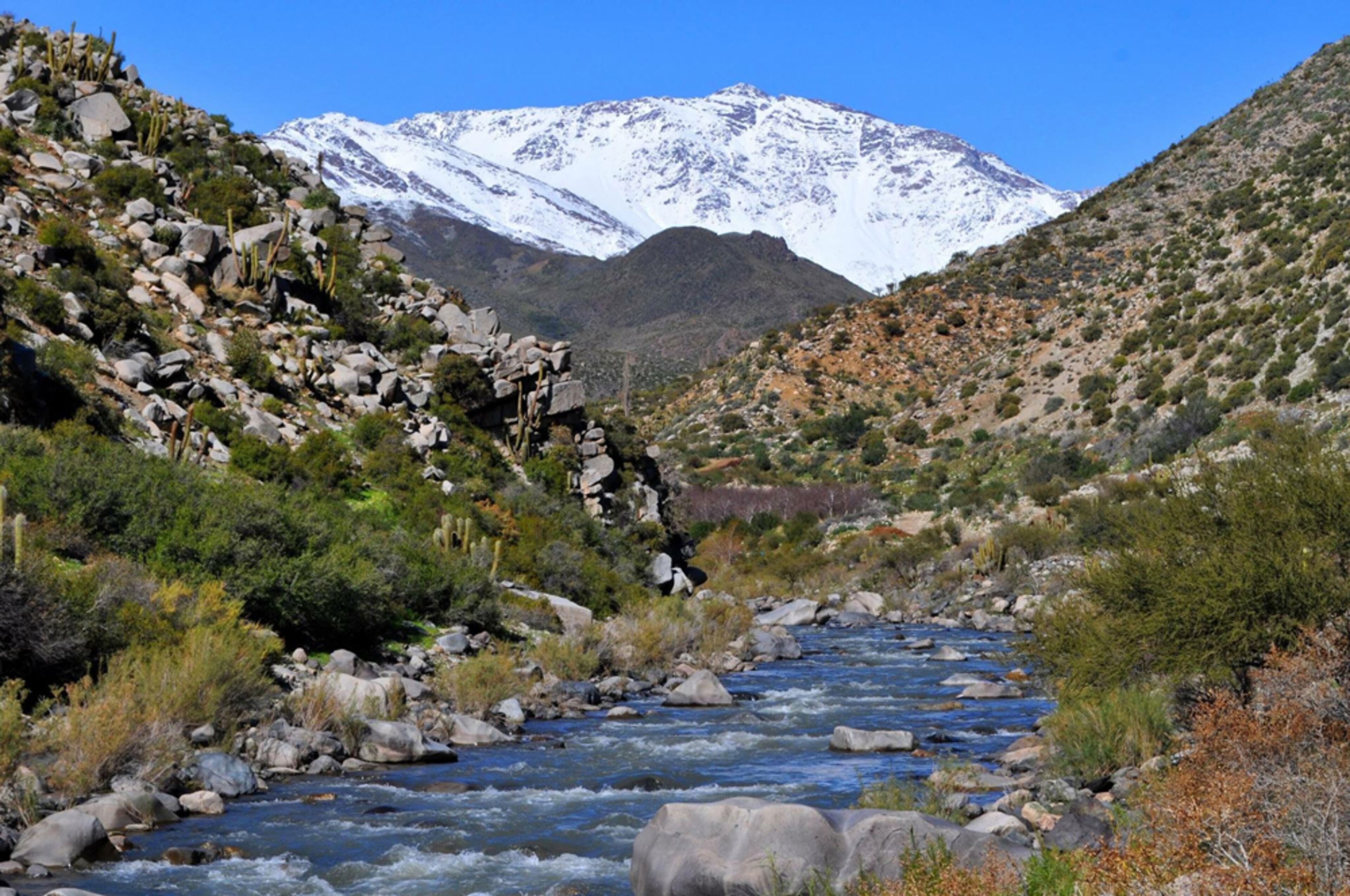 Pircas De Arboleda