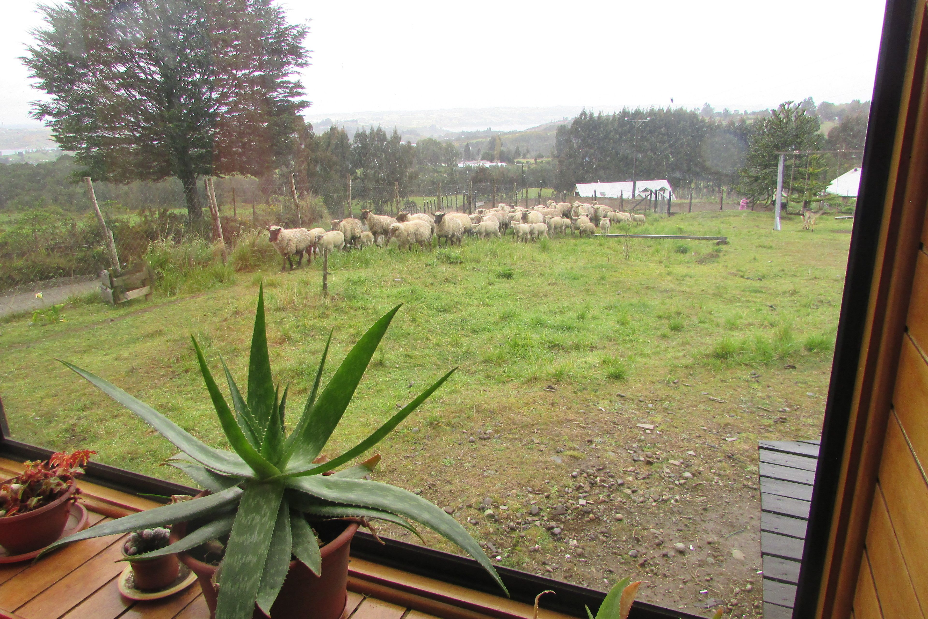 Agroturismo Los Colihues