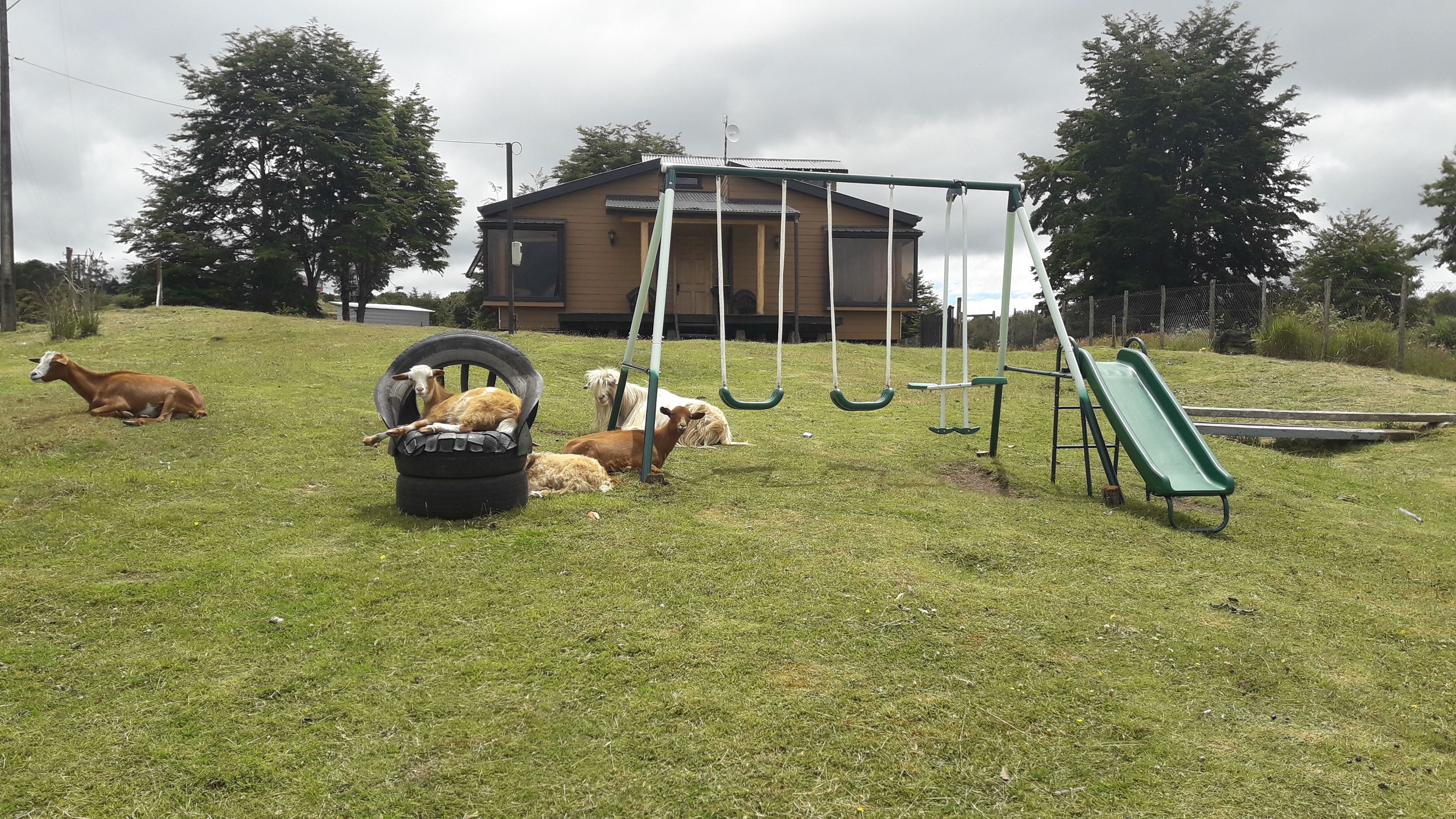 Agroturismo Los Colihues