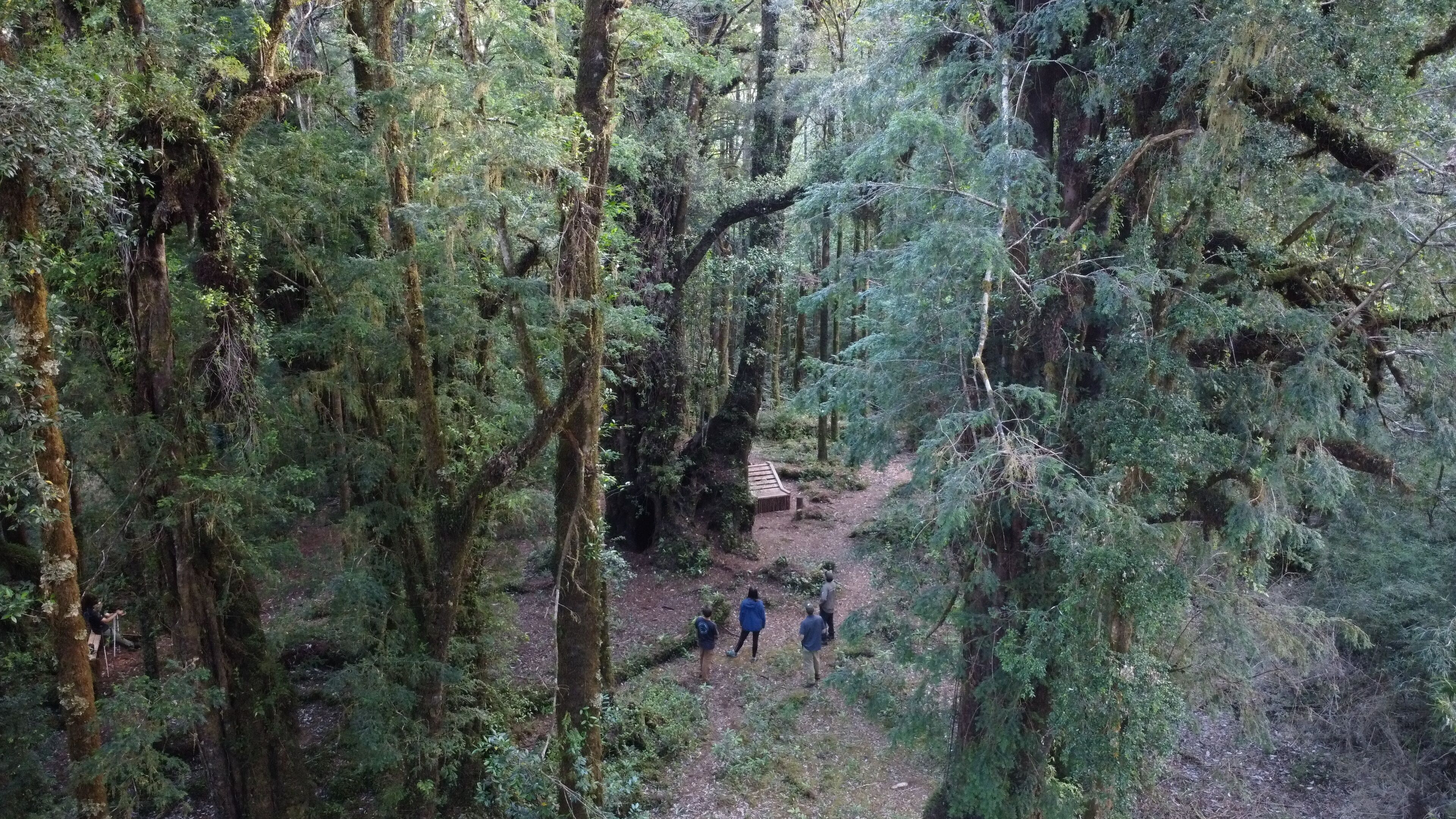 Lodge Parque Tepuhueico