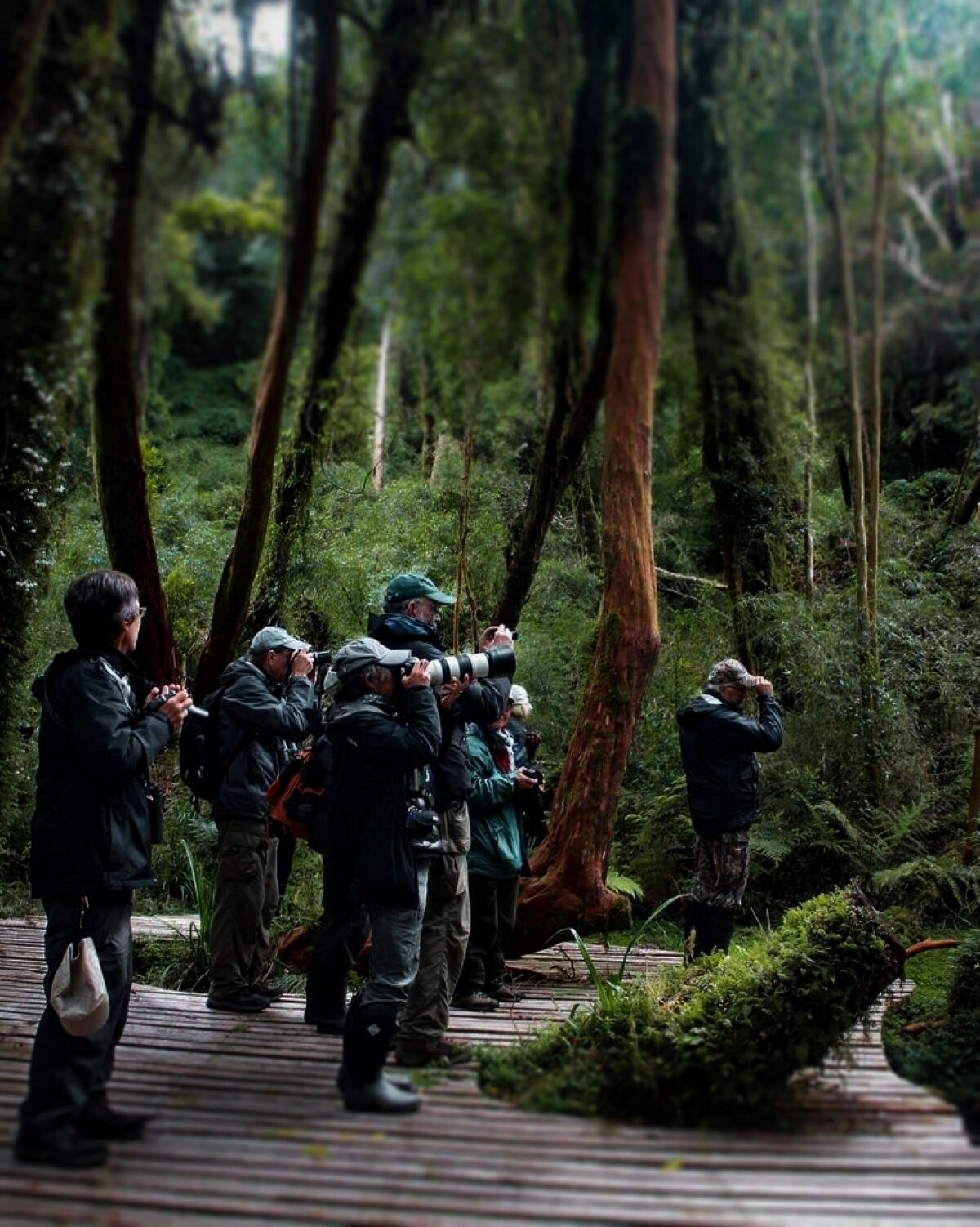 Lodge Parque Tepuhueico