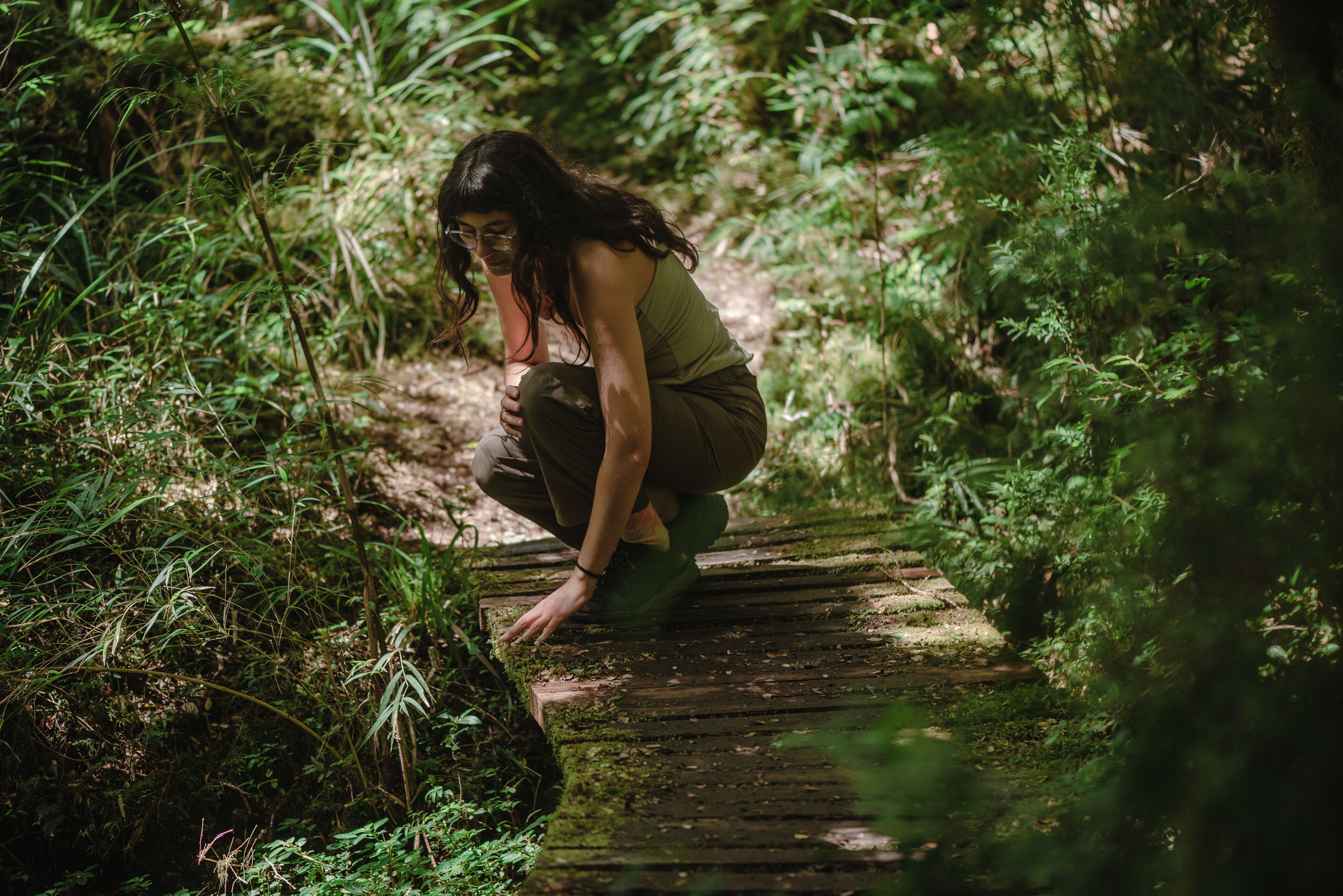 Lodge Parque Tepuhueico
