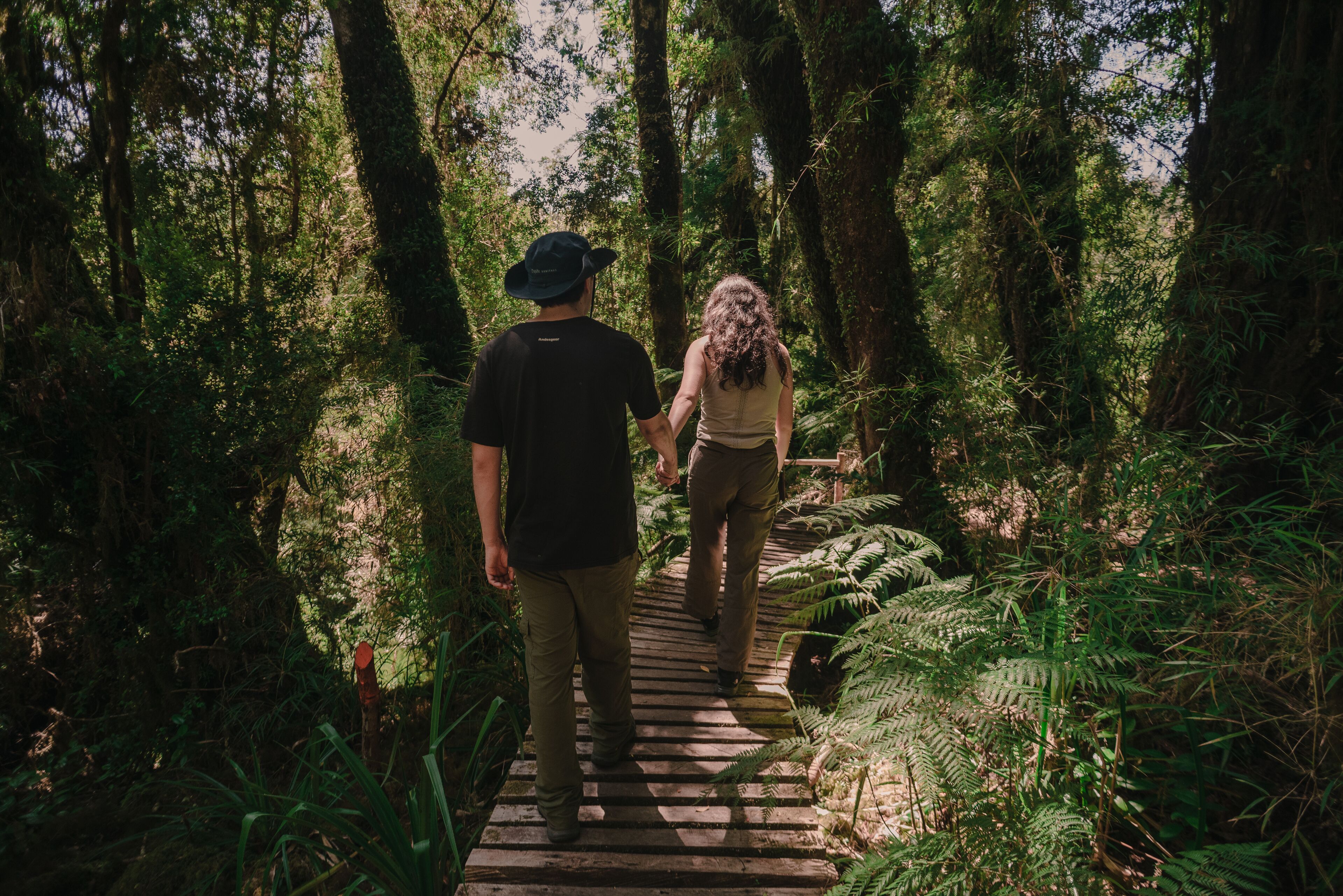 Lodge Parque Tepuhueico