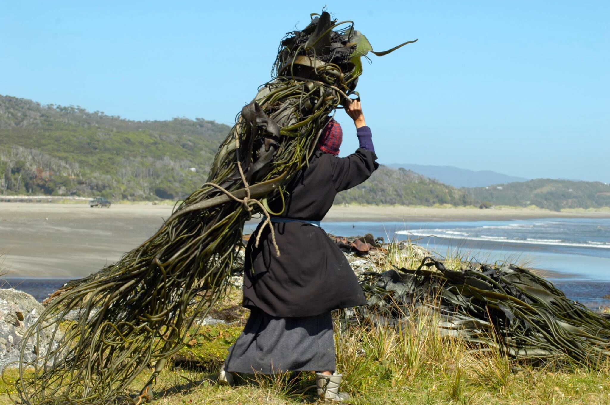 Lodge Parque Tepuhueico