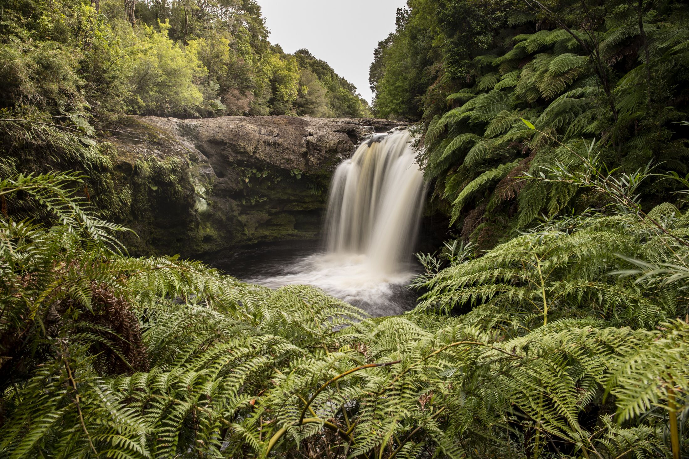 Lodge Parque Tepuhueico