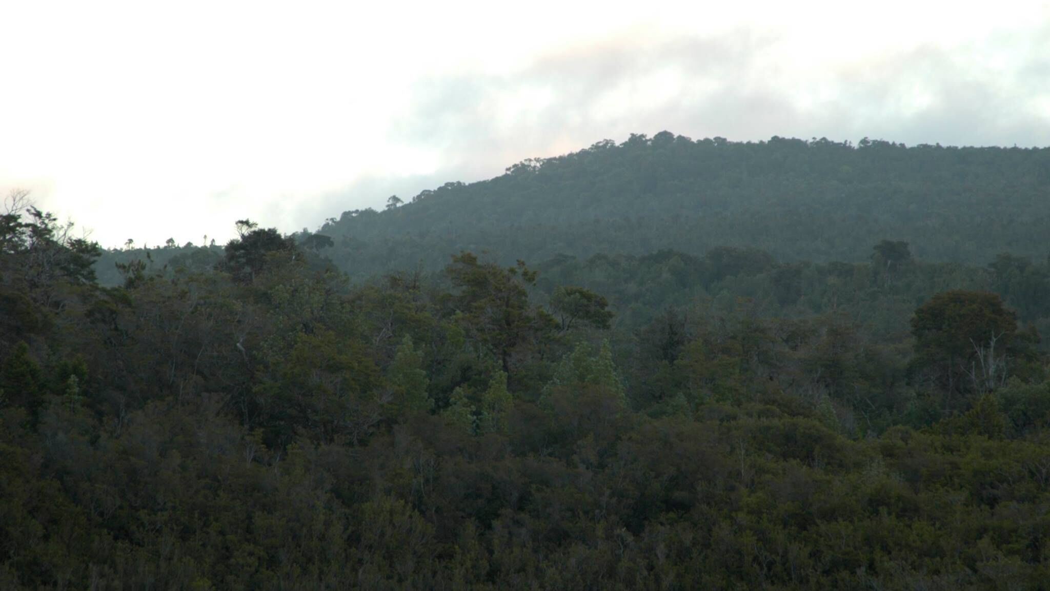 Lodge Parque Tepuhueico