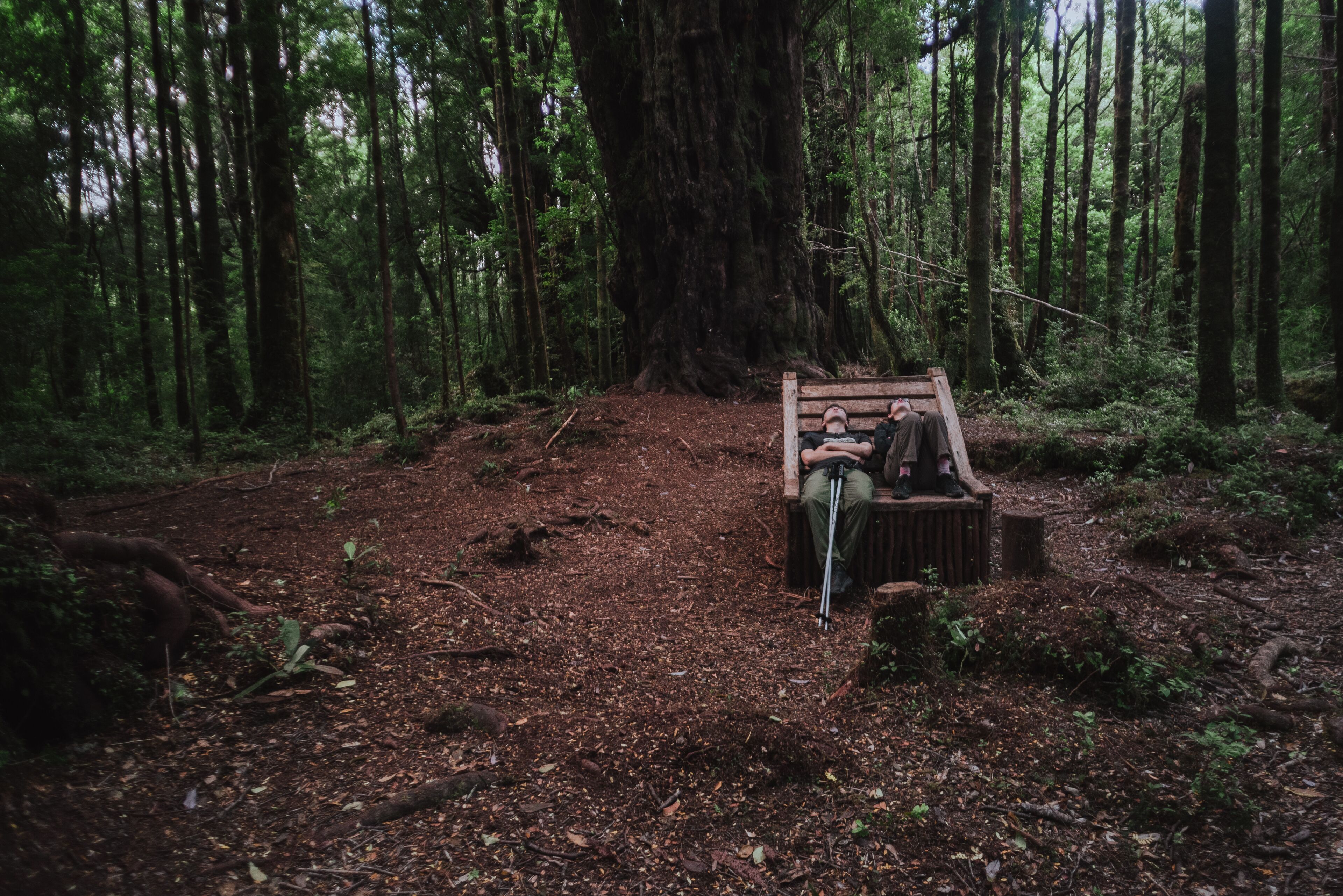Lodge Parque Tepuhueico