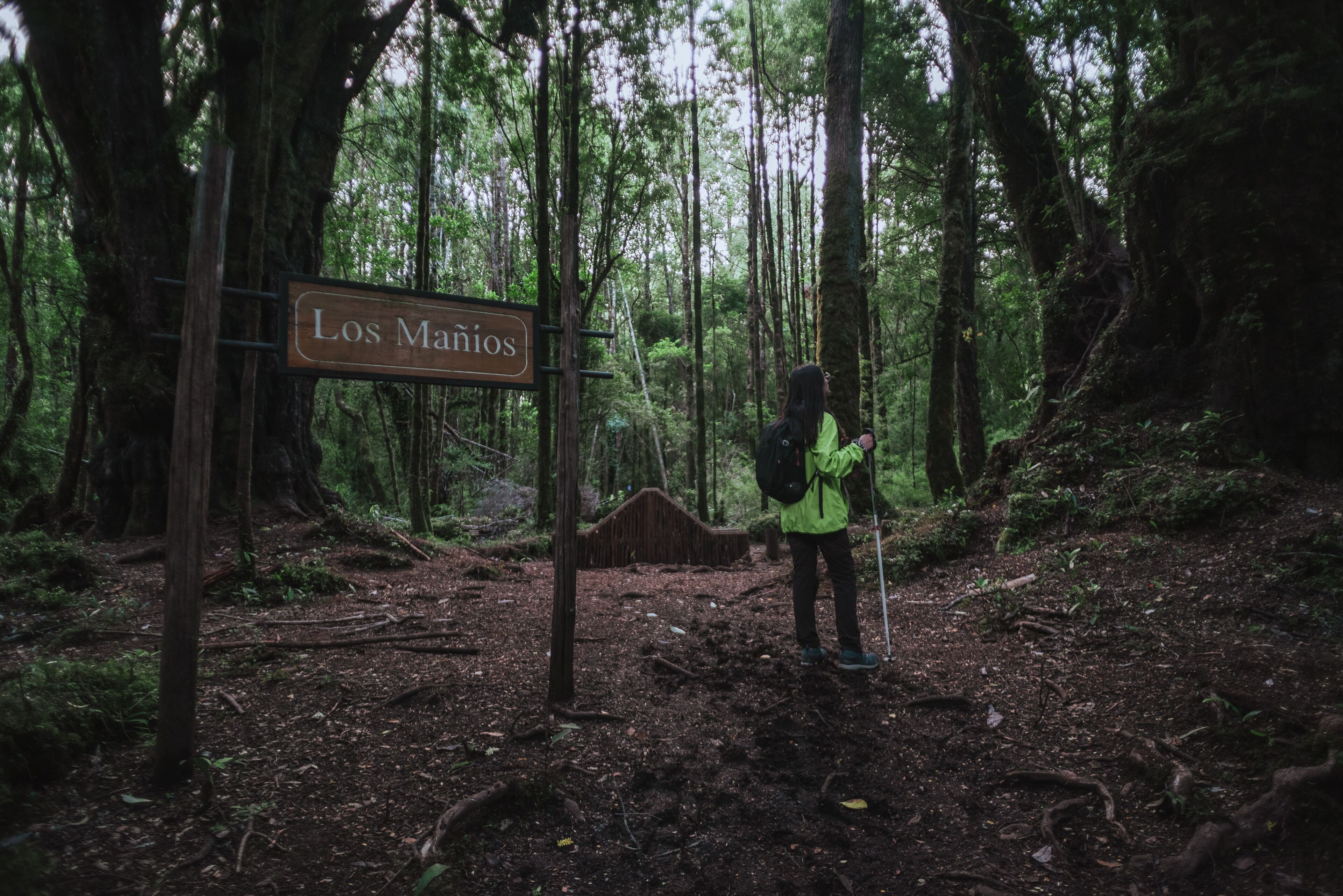 Lodge Parque Tepuhueico