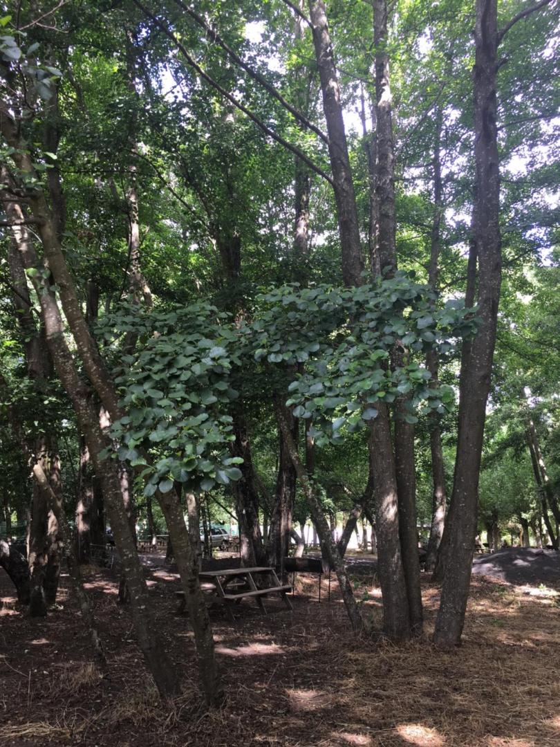 Cabanas y Camping Playa Hermosa