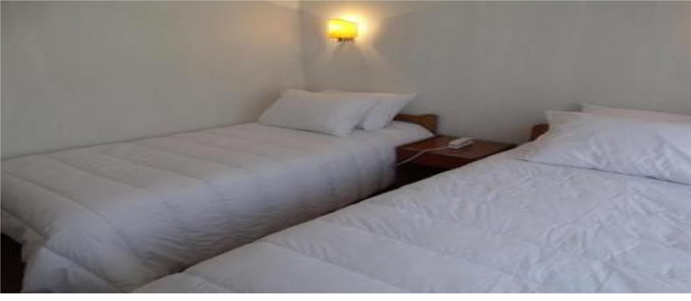 Hotel Castellano
