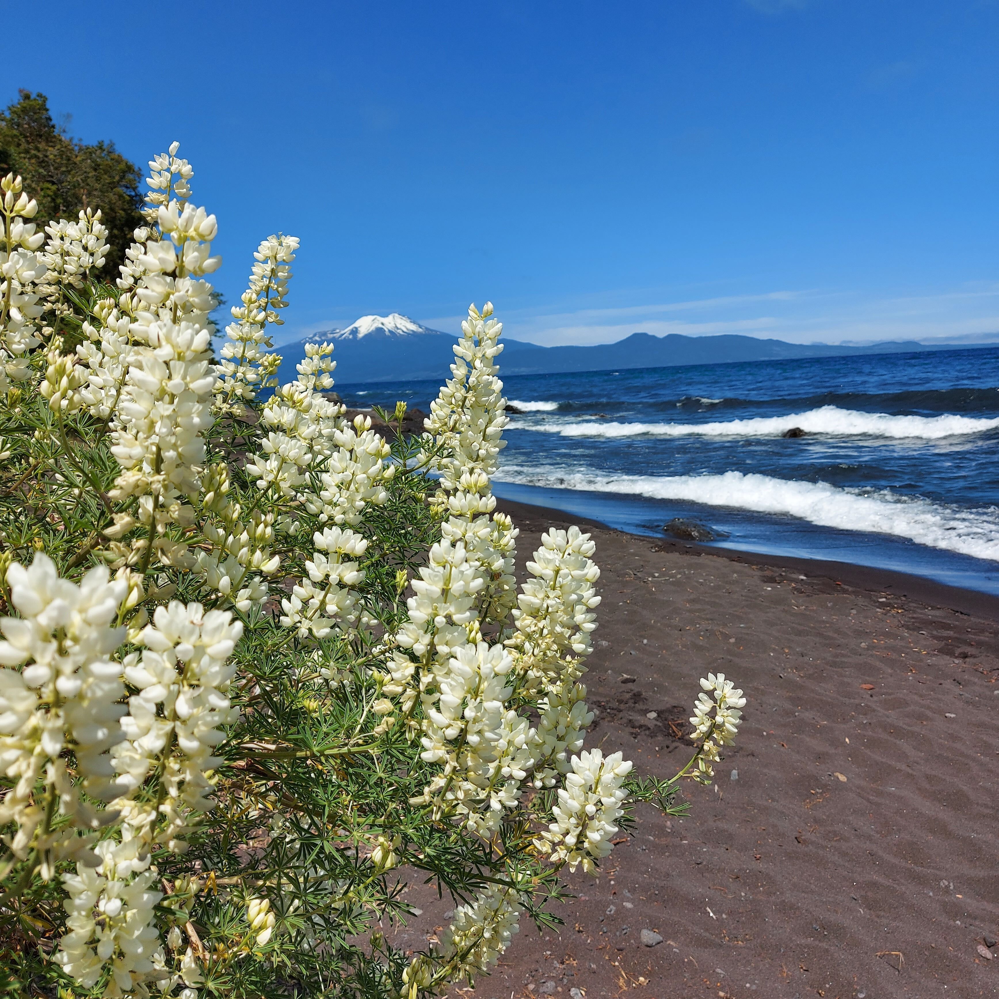 Hotel Lodge Las Cascadas