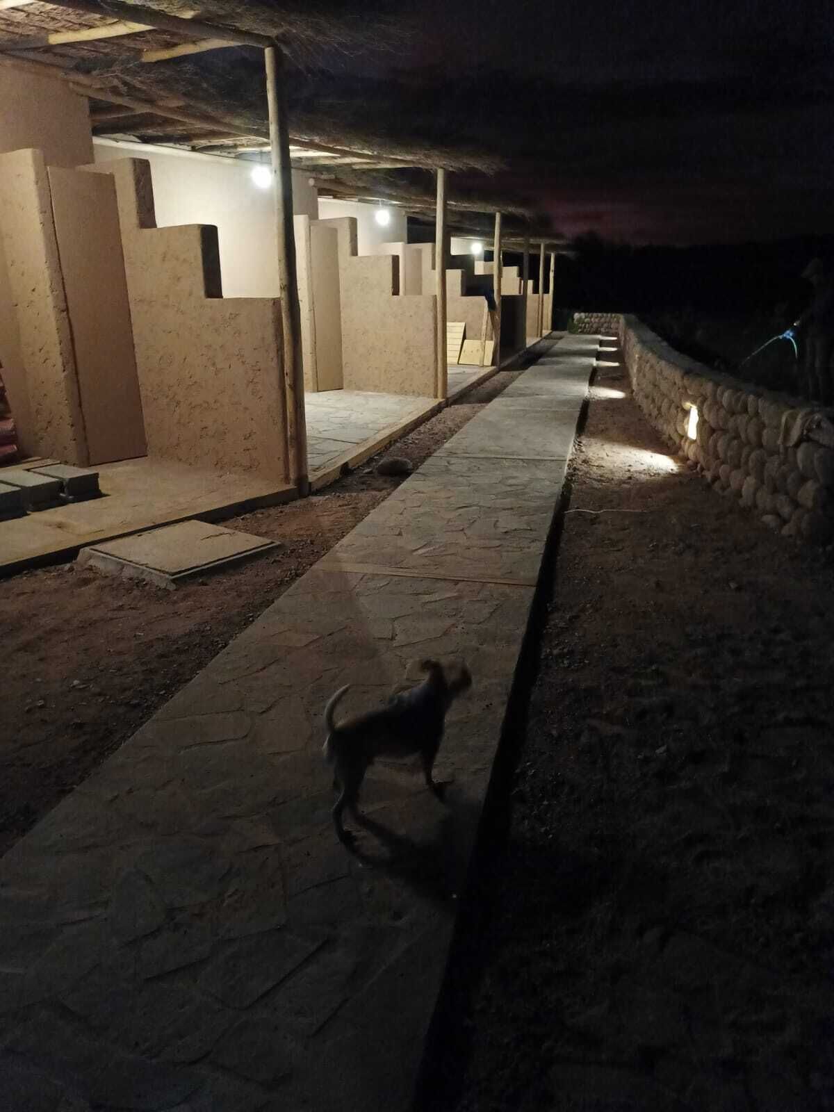 Tiunur Lodge