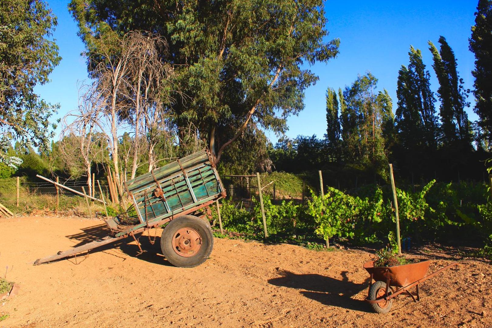 Hotel Boutique Raices De Colchagua