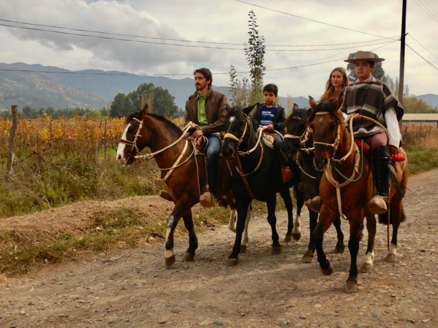 Hotel Boutique Raices De Colchagua