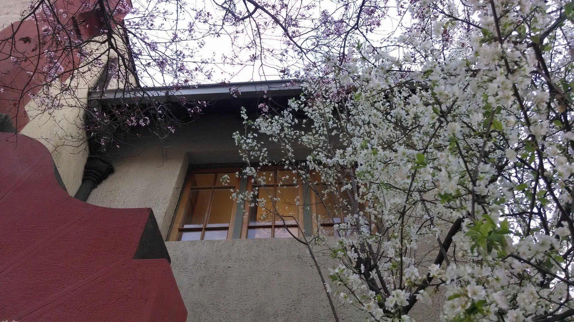 Providencia Bed & Breakfast
