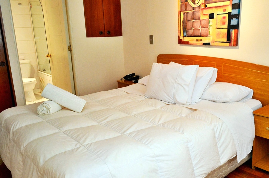 Santiago Suite Apartment