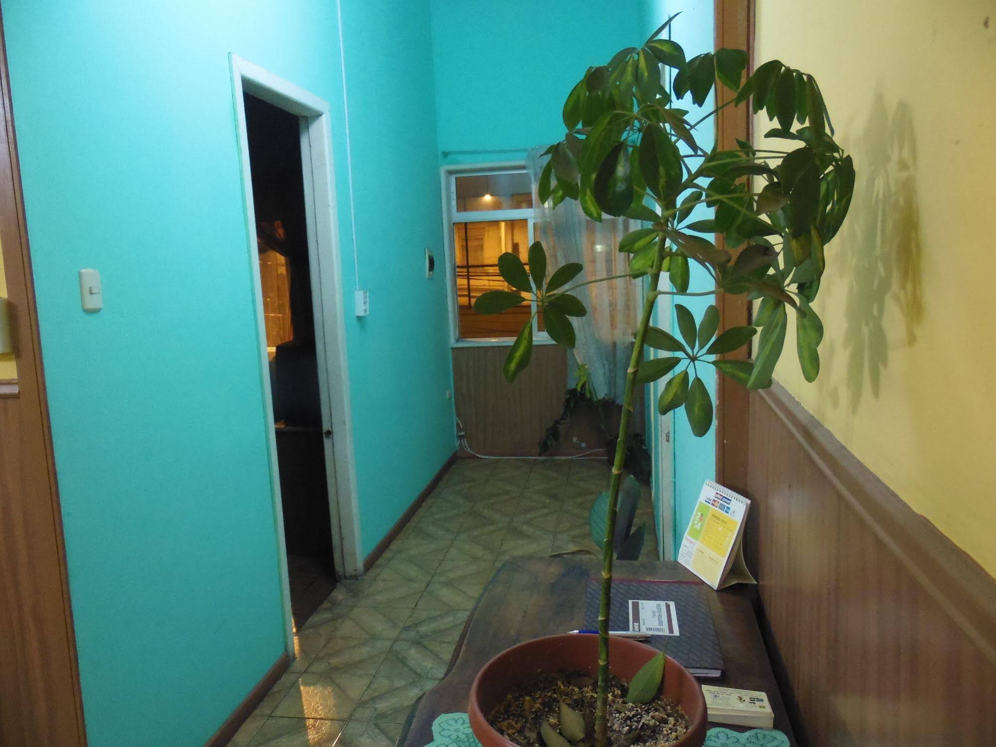 Hostal Tricontinental