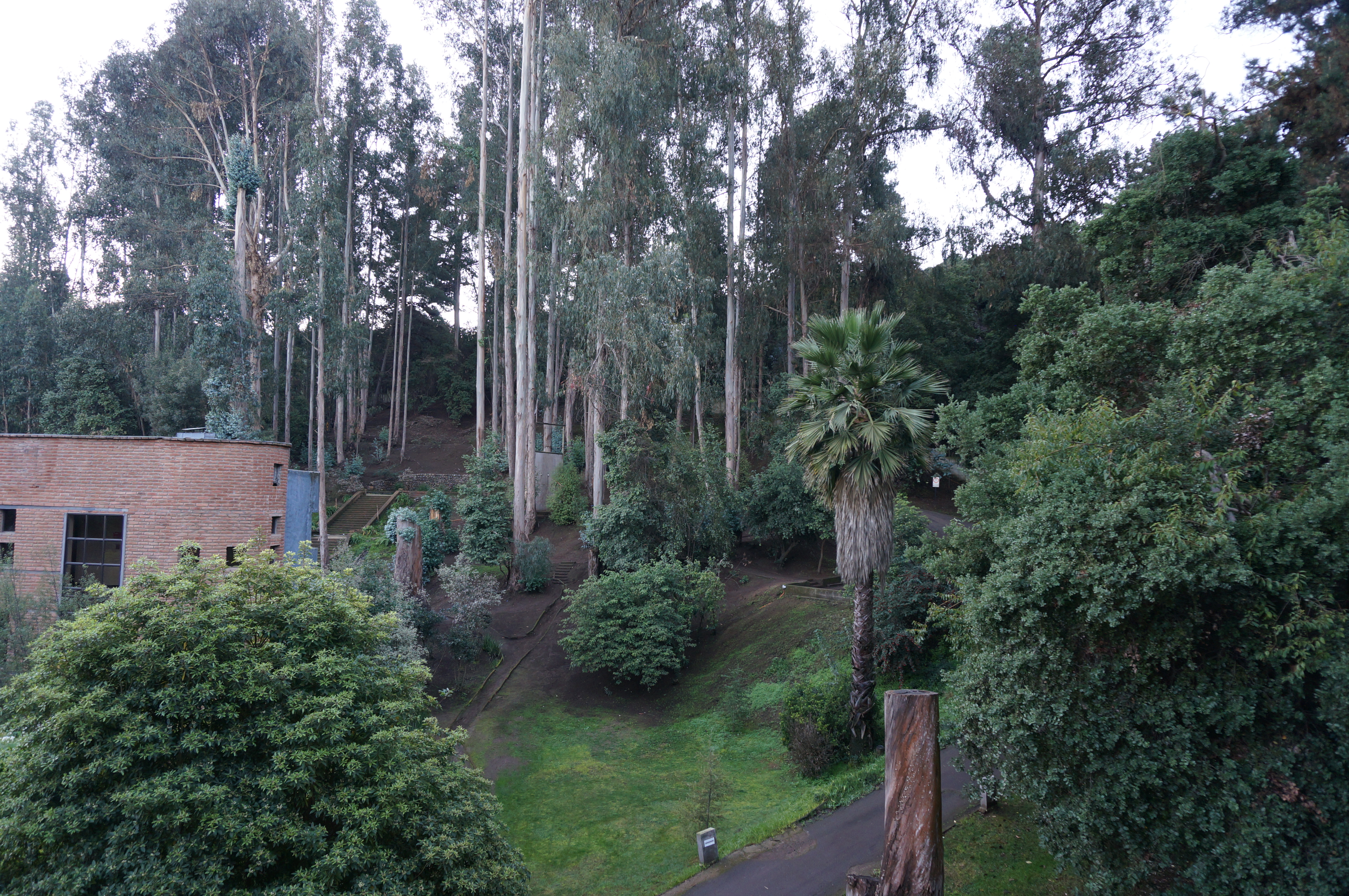 Hotel Bosque De Reñaca