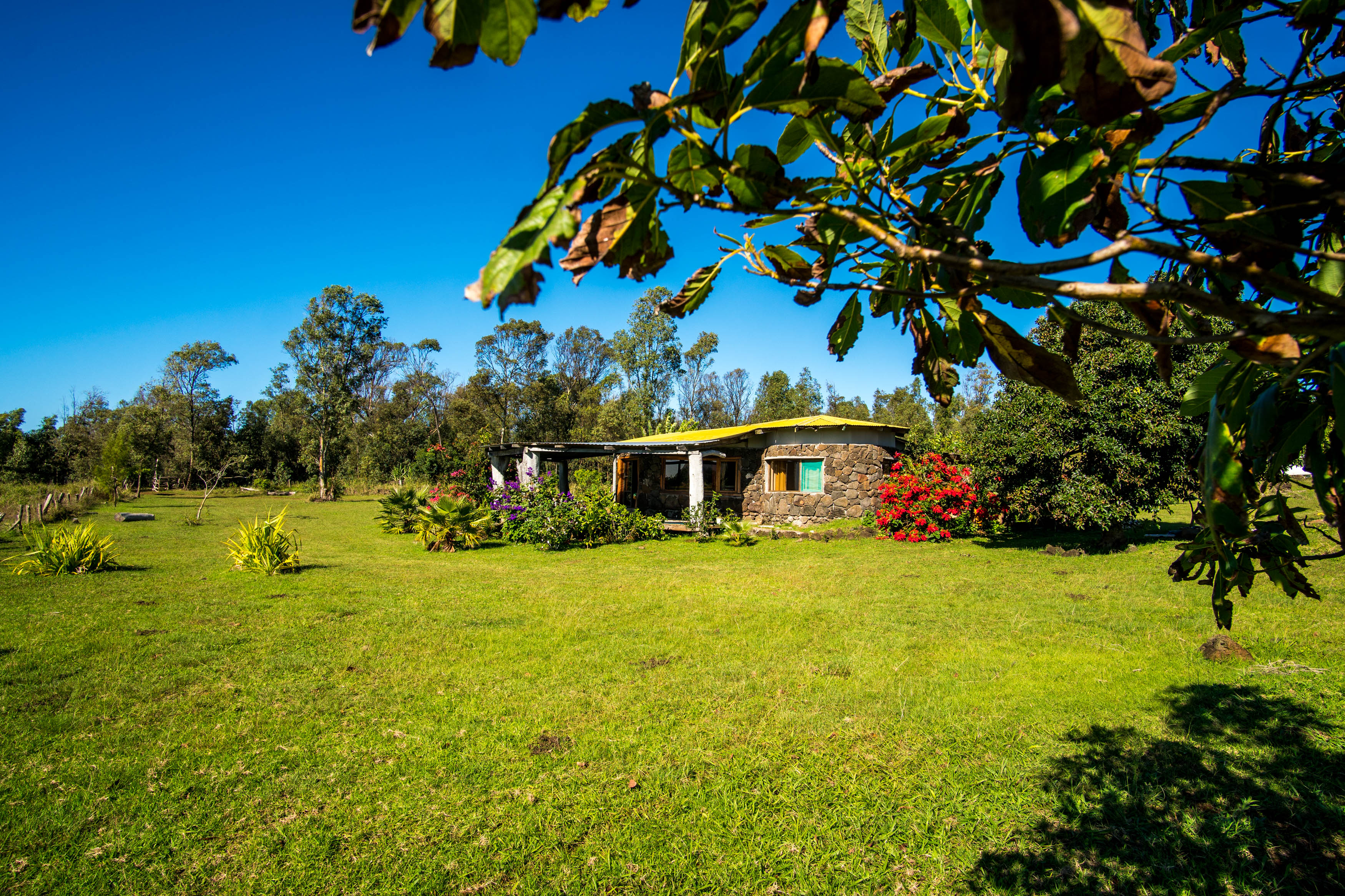 Vaihu Lodge