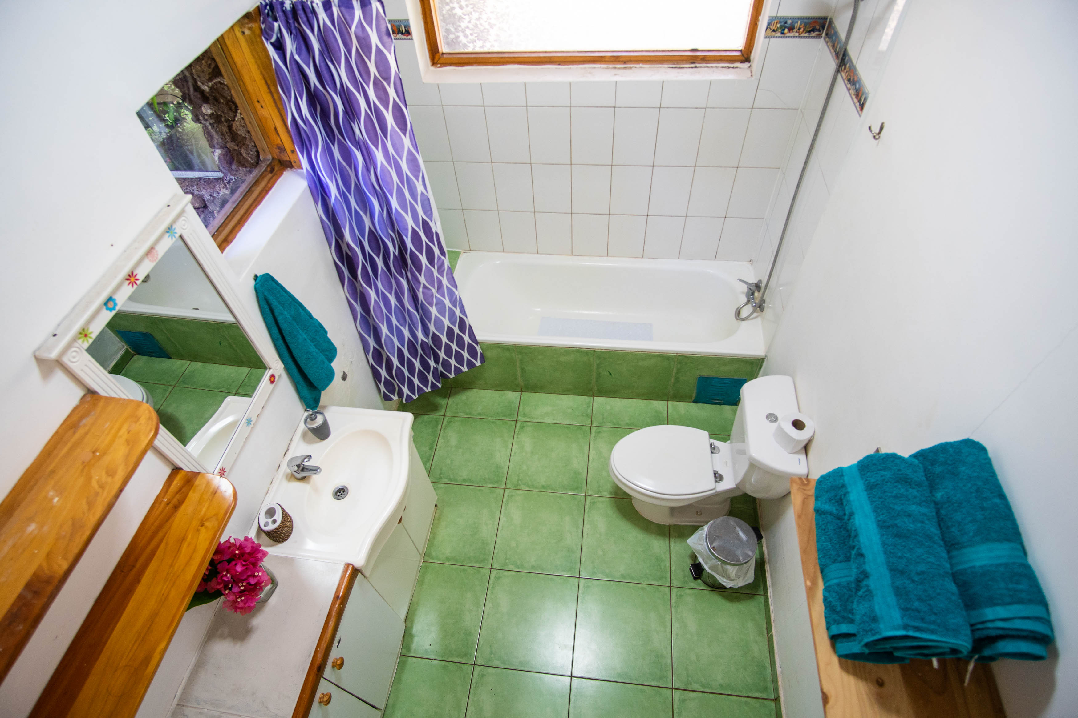 Vaihu Lodge