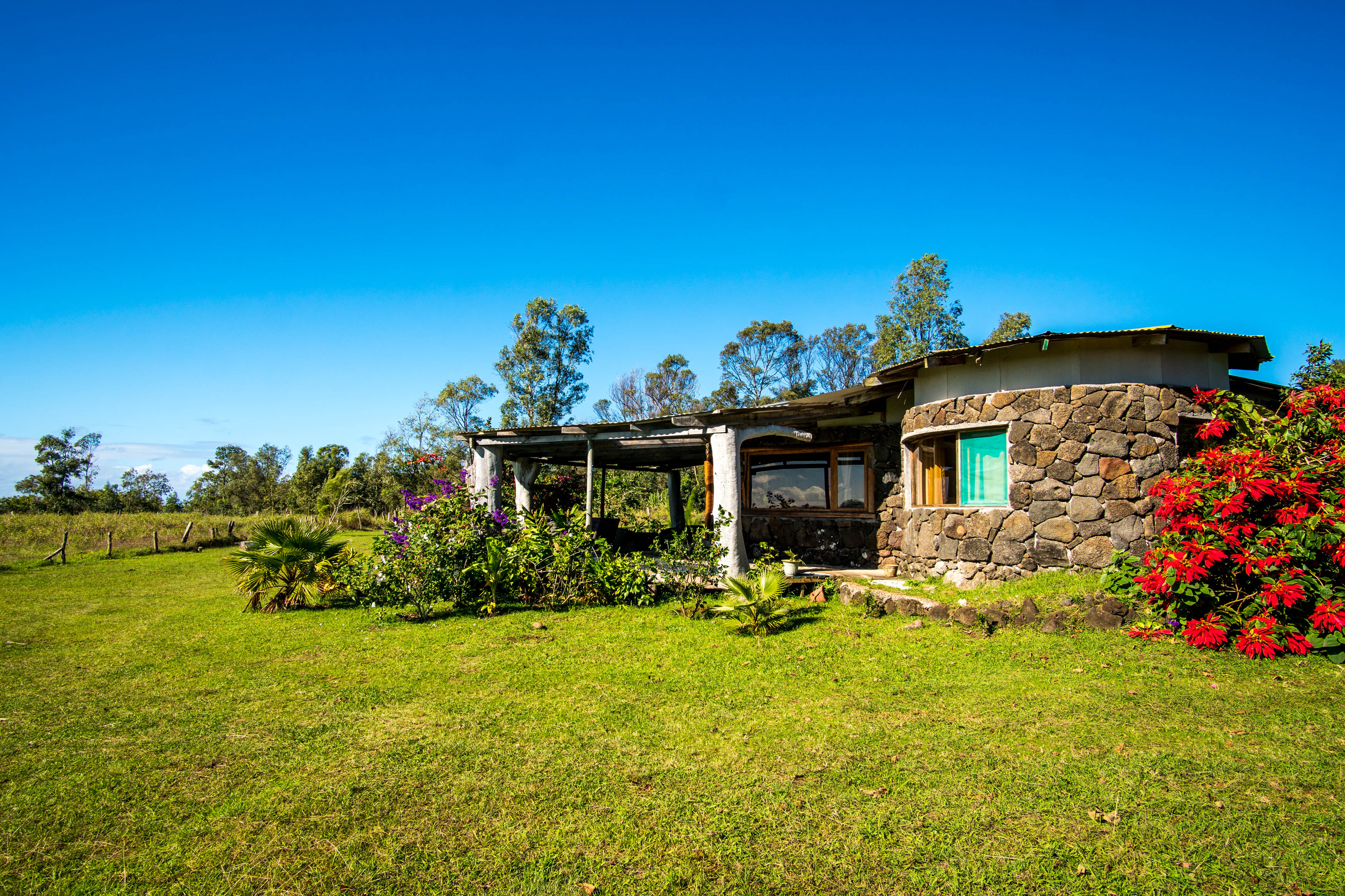 Vaihu Lodge