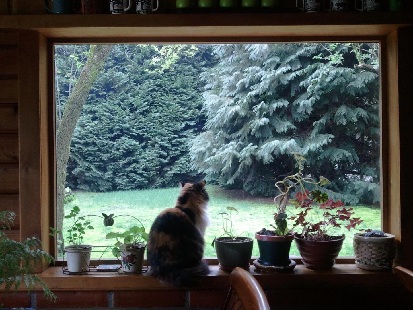 Espacio y Tiempo Hotel de Montaña