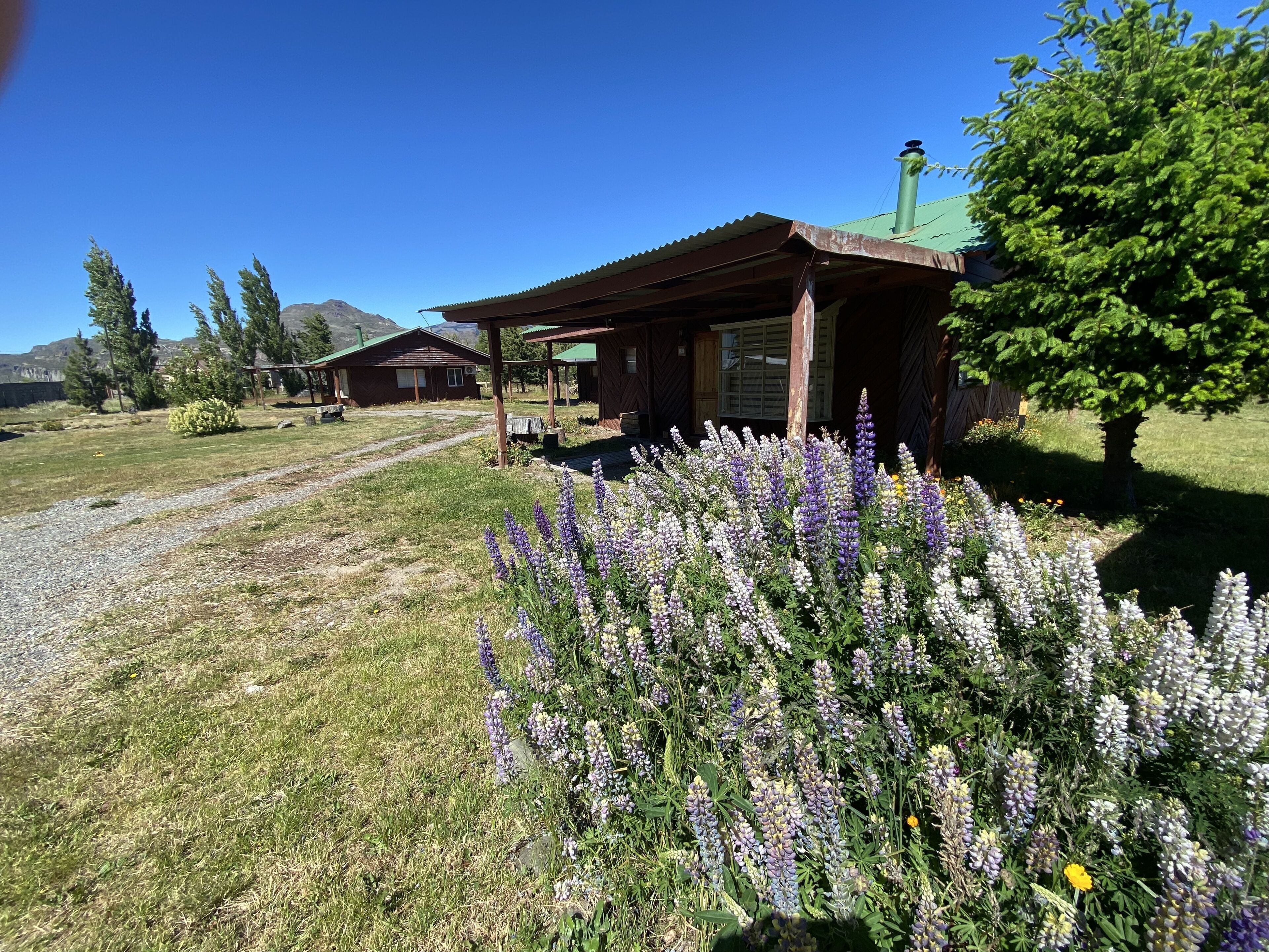 Patagonia Bordelago