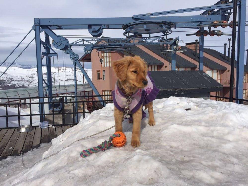 Colorado Apart Hotel